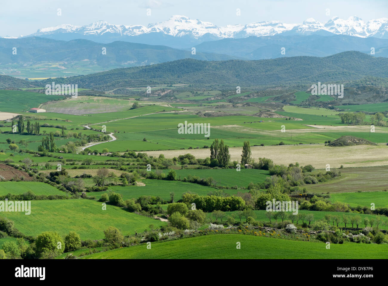 Spain, Fields and Pyrenees Stock Photo - Alamy