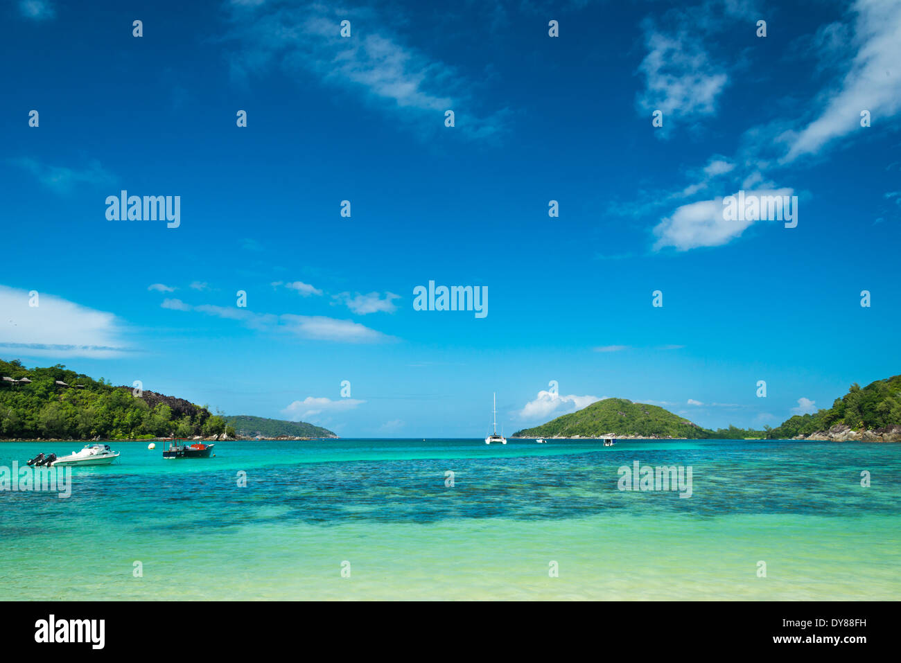 Tropical beach wildlife hi-res stock photography and images - Alamy