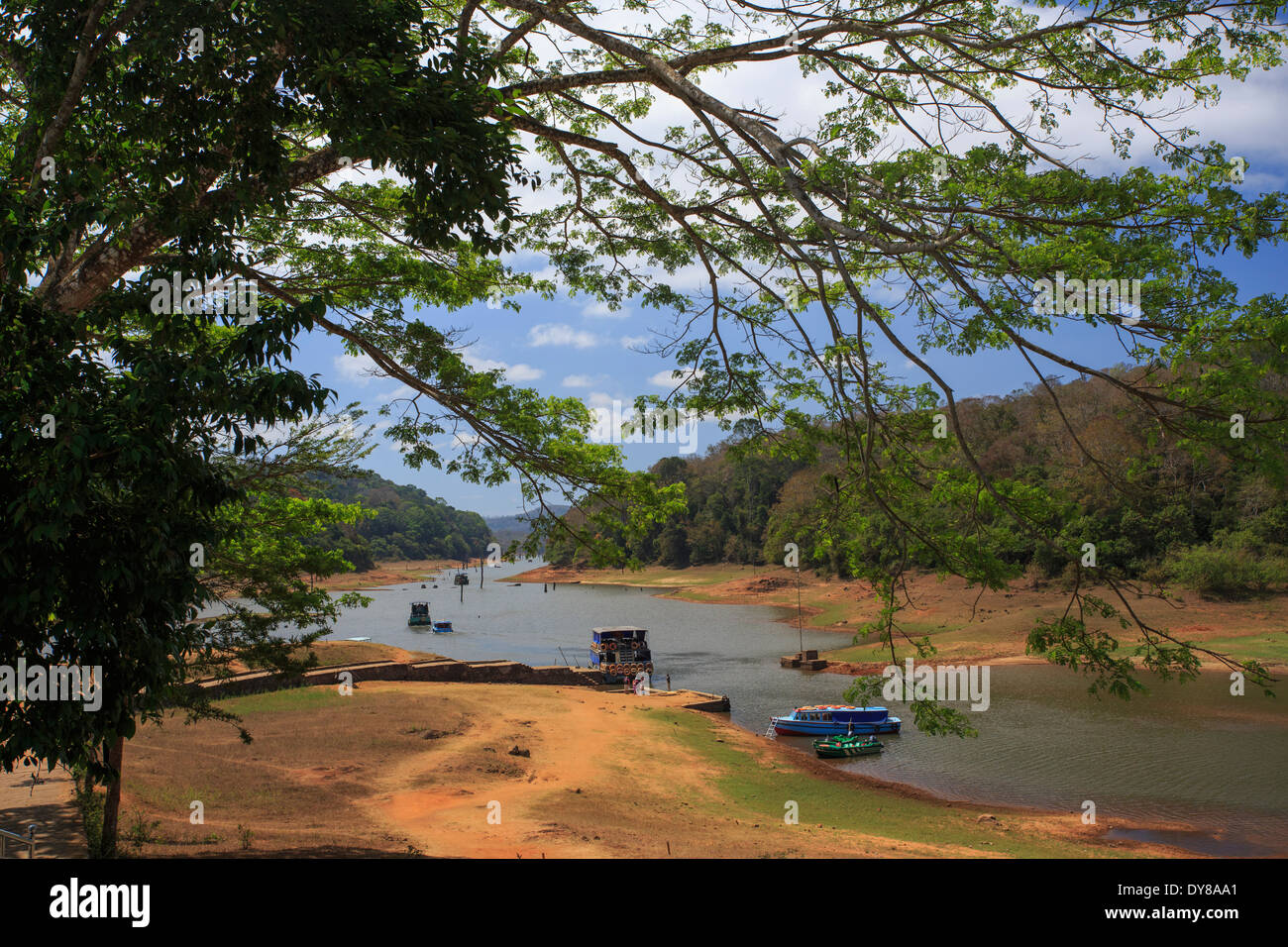 A Long Bird in a Relax Time at Thekkady Lake,kerala. Stock Photo - Image of  bird, life: 112310542