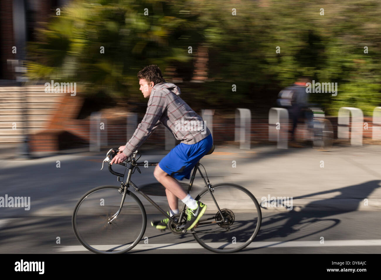 Student Riding  a Bike, University of Florida, Gainesville, FL, USA Stock Photo