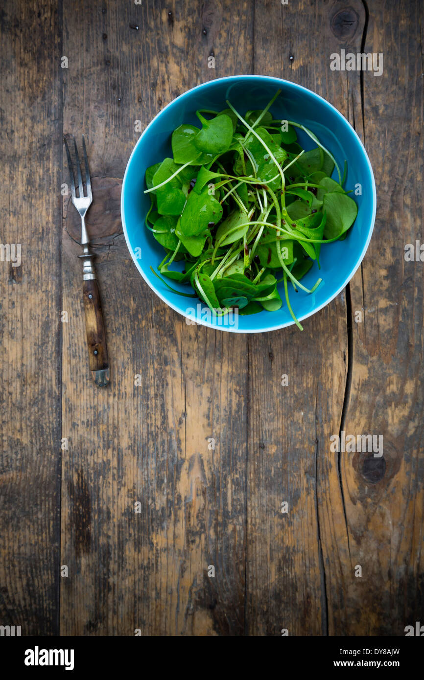 Bowl of winter purslane salad (Claytonia perfoliata) and a fork on wooden table Stock Photo