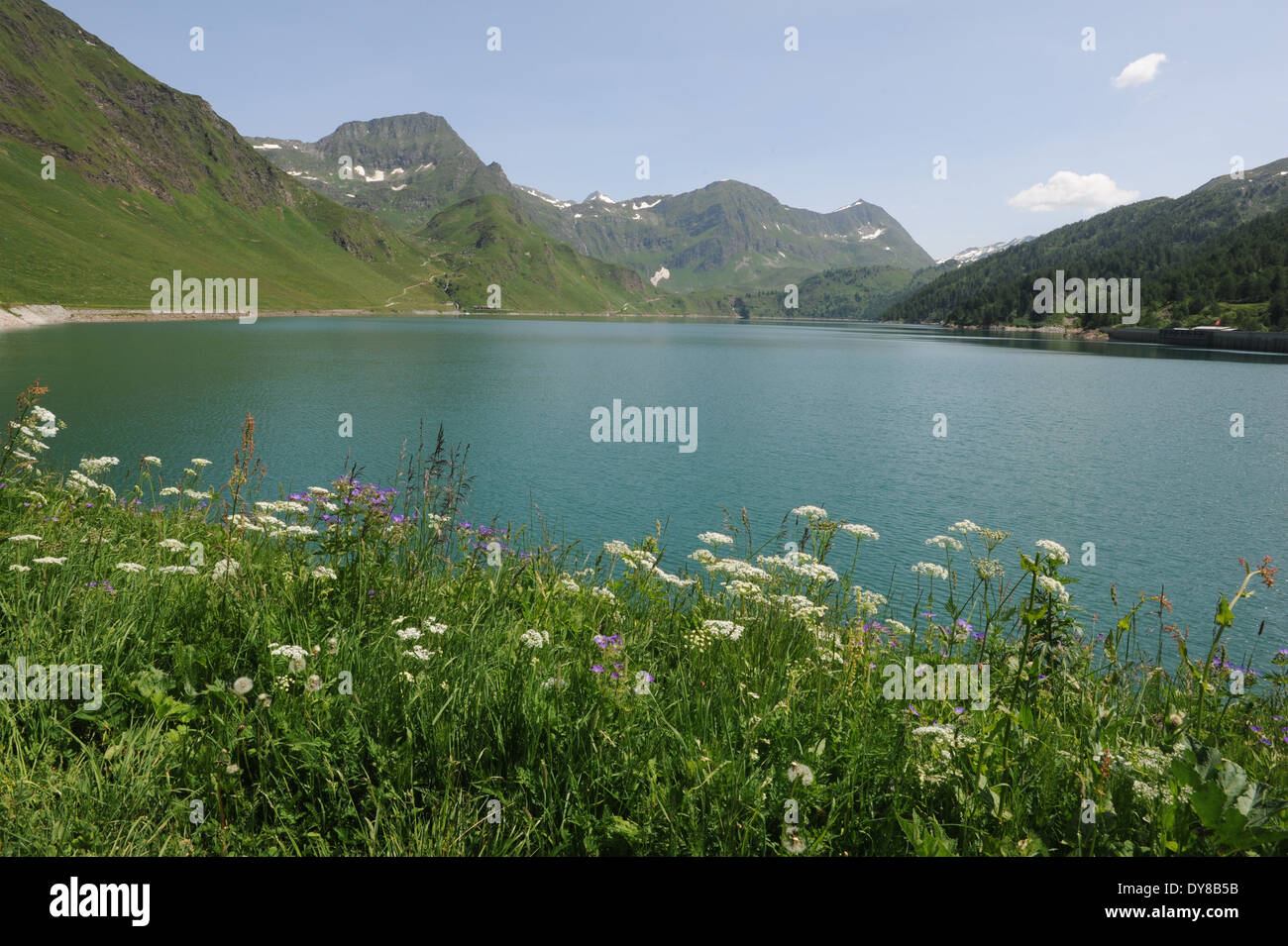 Switzerland, Ticino, Ritom, Piora, meadow, lake, alp, meadow, Stock Photo