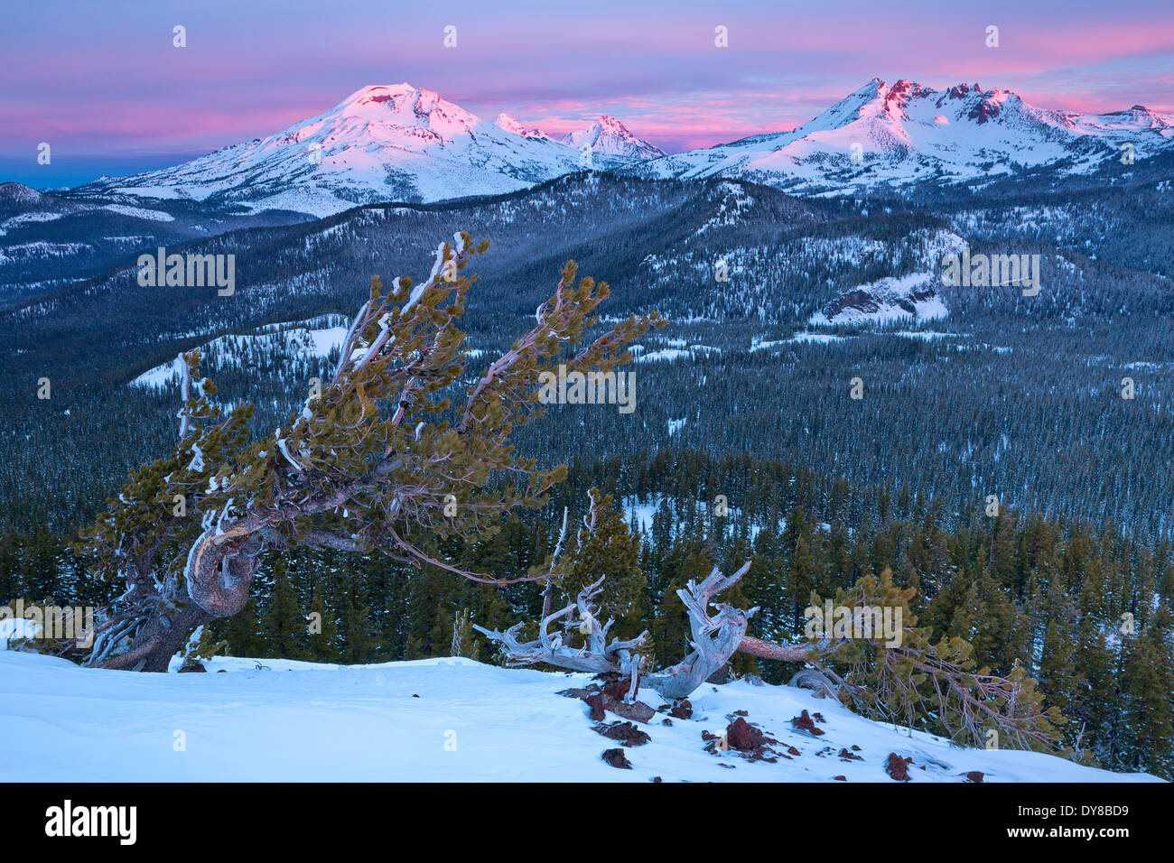 Sunrise over the Three Sisters and Broken Top mountains in the Stock