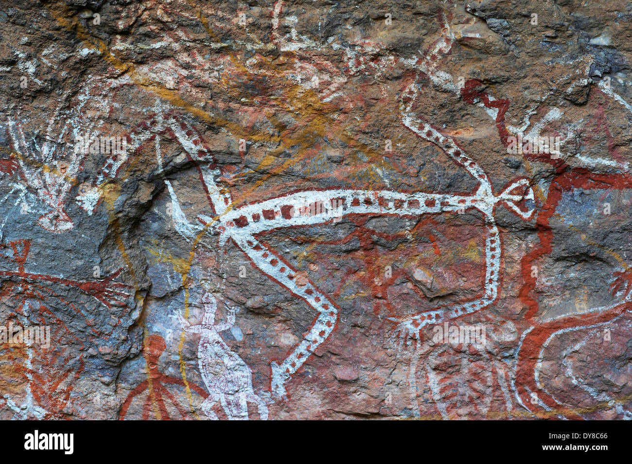 Australia, cockatoo, national park, Northern Territory, cliff drawings, rock painting, Stock Photo