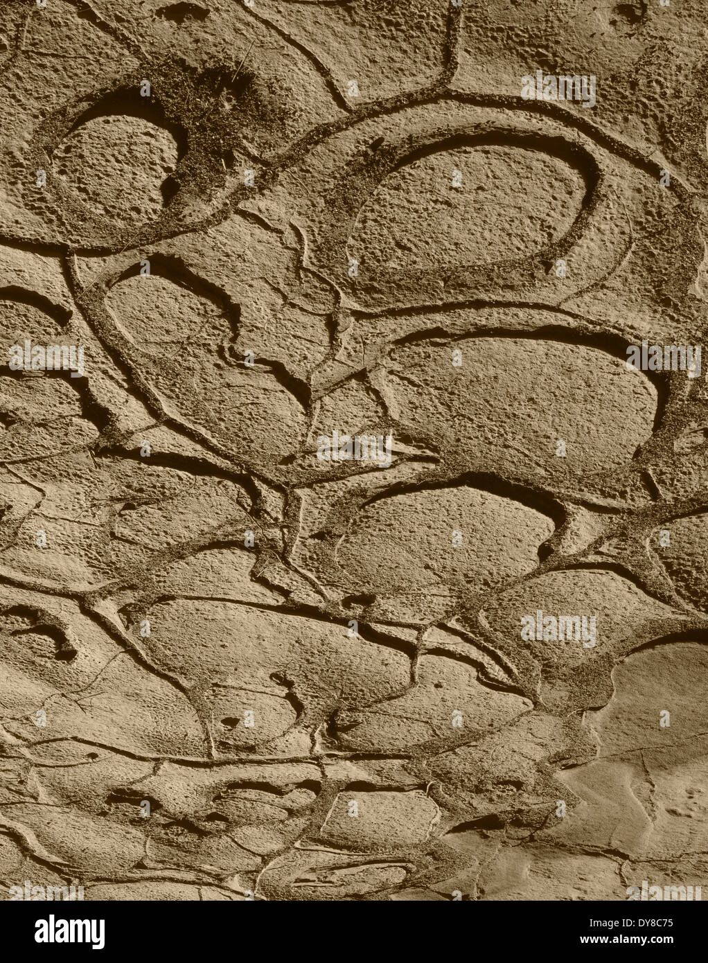 Mud Pattern Metal Pattern Bronze Mud Patterns #1 Stock Photo - Alamy
