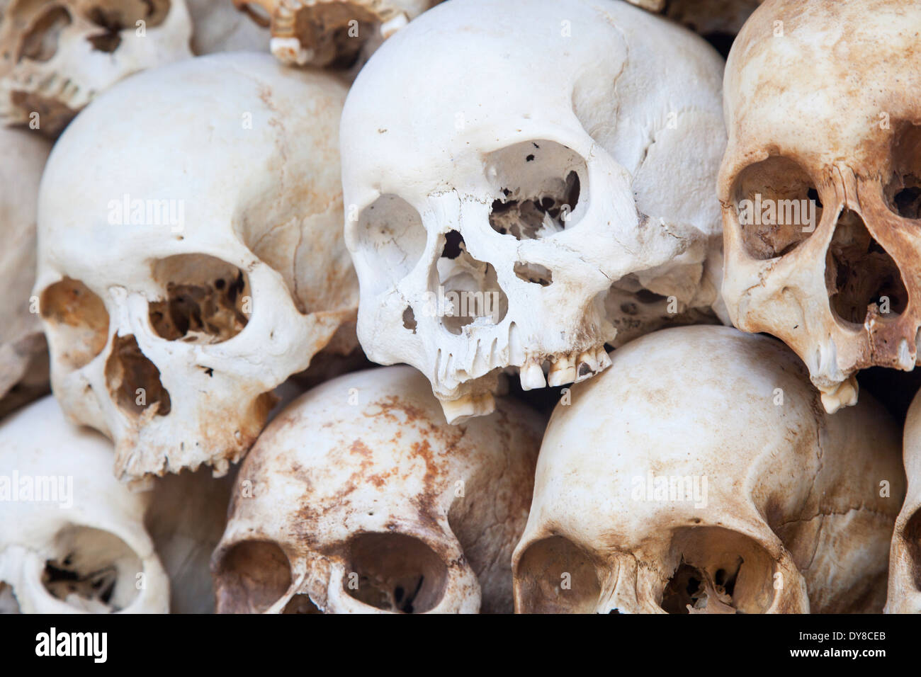 Skulls Displayed inside the Killing Fields ( Choeung Ek ) Memorial Site in Phnom Penh, Cambodia Stock Photo