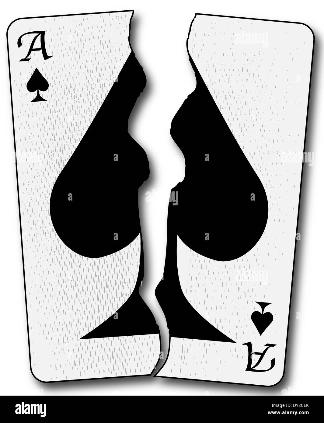 The ace of spades playing card torn in half and isolated on a white