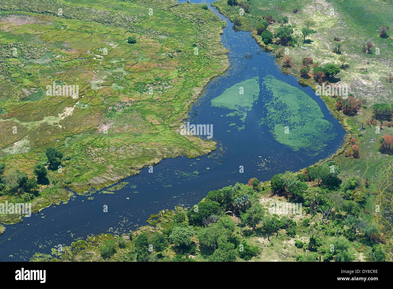 Botswana, Africa, aerial, view, aerial, view, Okawango, delta, river ...