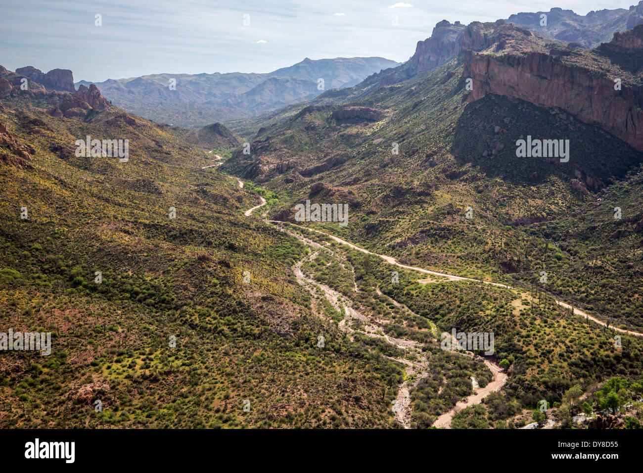 USA, Arizona, Apache Trail, Tonto National Forest, US highway 88 and