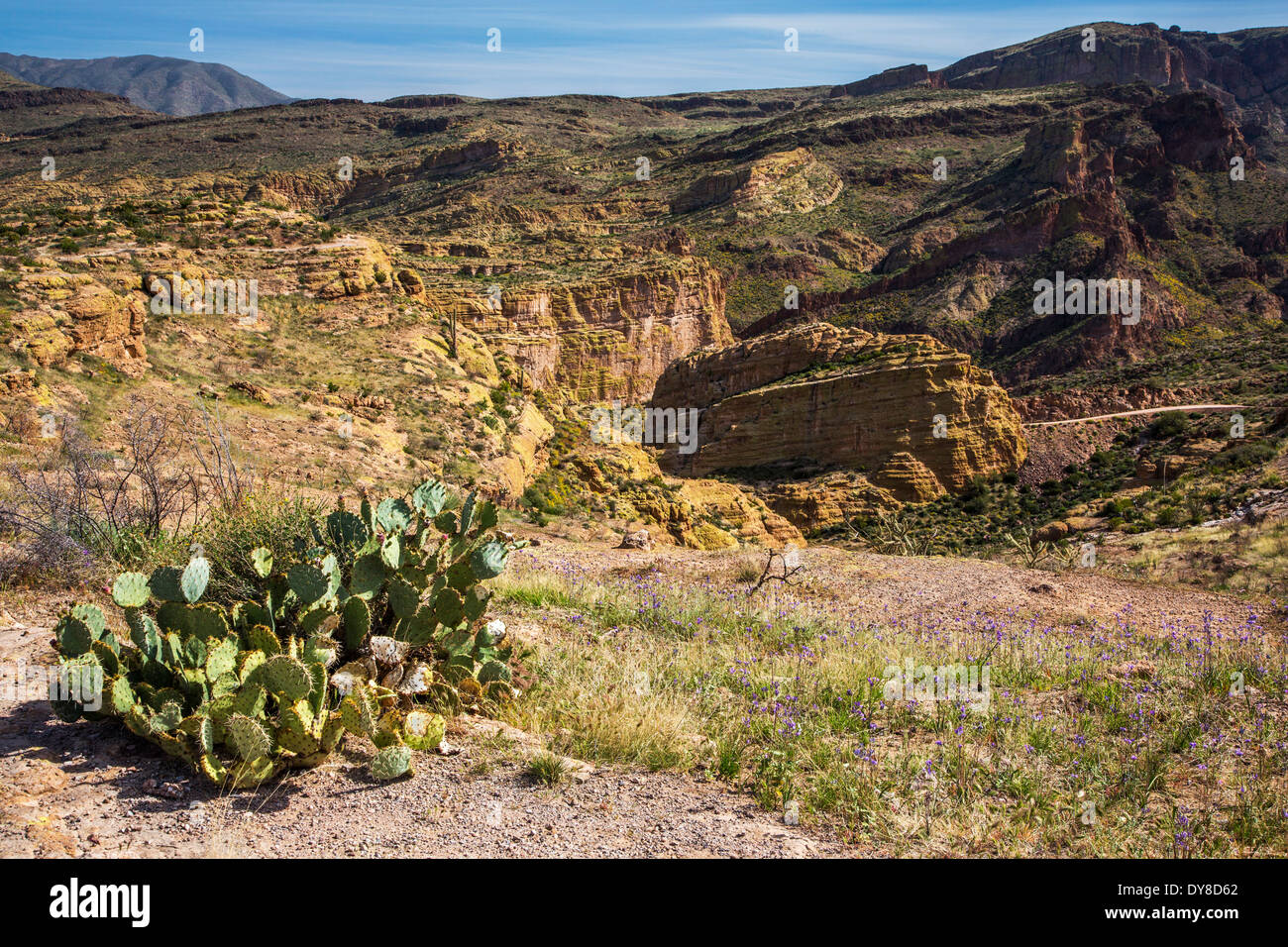 USA, Arizona, Apache Trail, Tonto National Forest, US highway 88