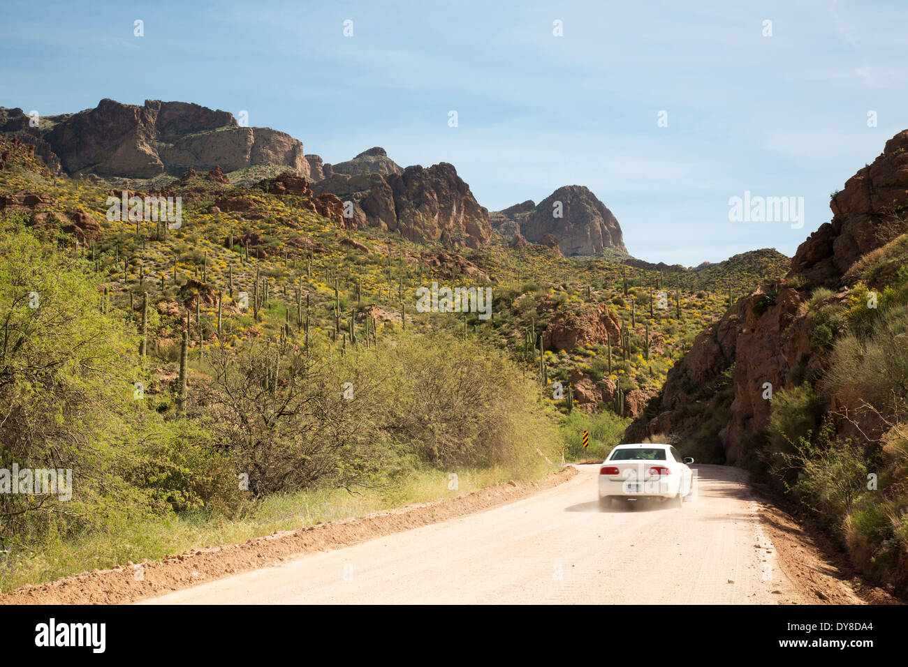 USA, Arizona, Apache Trail, Tonto National Forest, US highway 88
