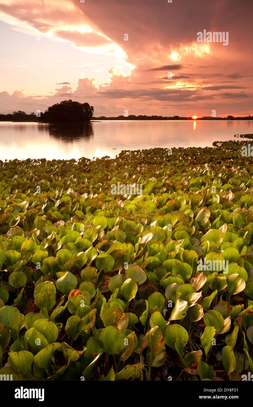 Colorful skies at sunset at Refugio de vida Silvestre Cienaga las Macanas, Herrera province, Republic of Panama. Stock Photo