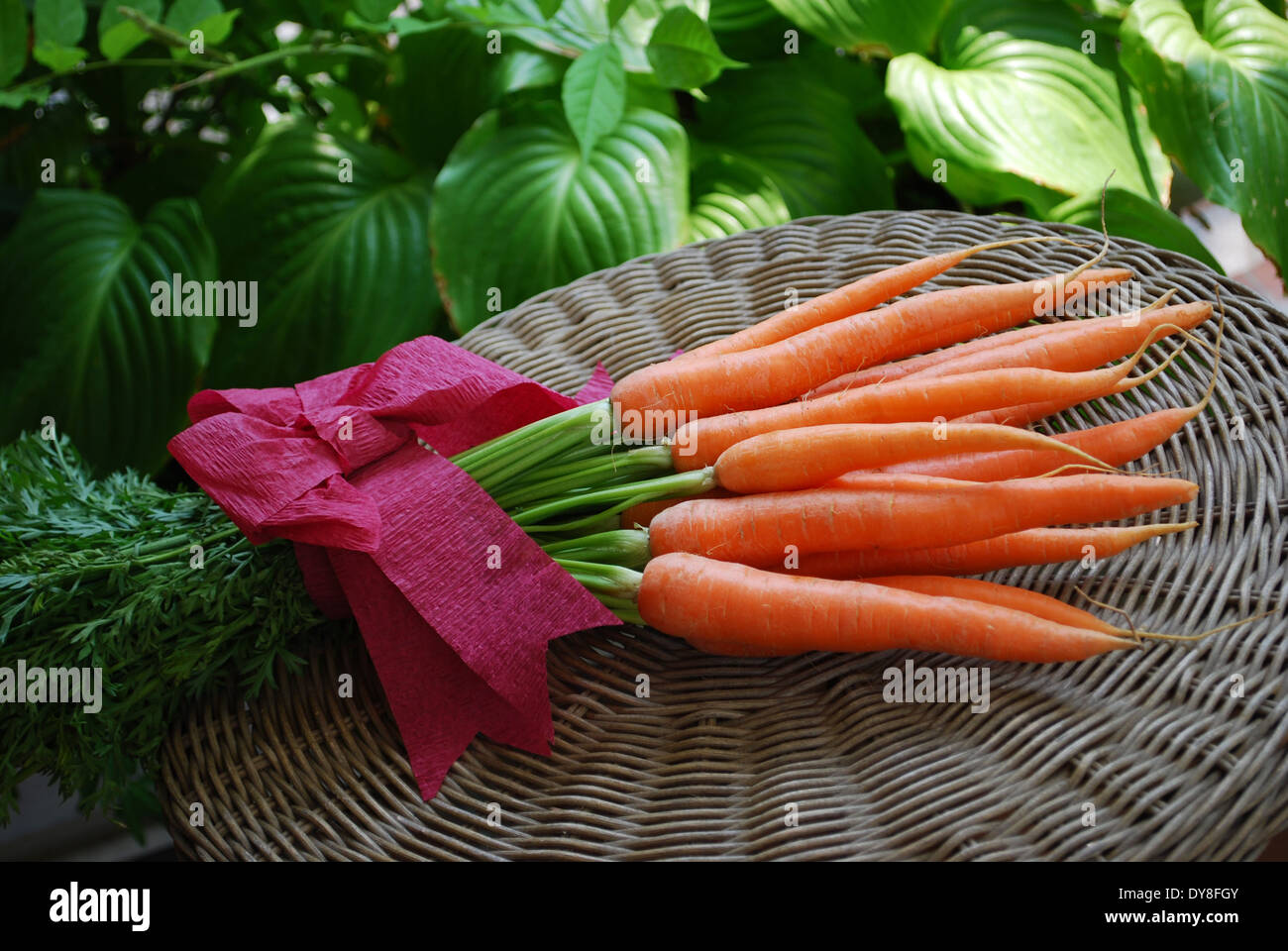A bunch of fresh carrots on natural background Stock Photo Alamy