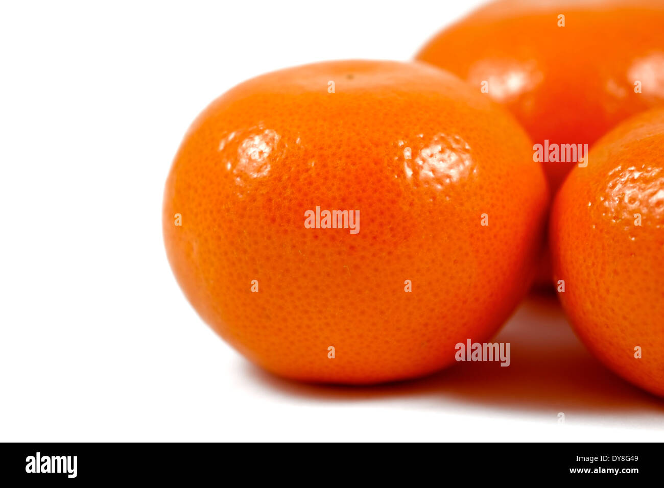 Satsuma oranges white background studio image Stock Photo