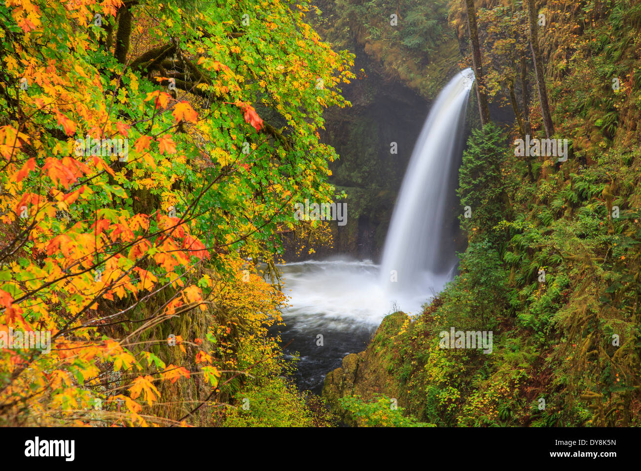 USA, Oregon, Columbia River Metlako Falls, 101 feet Stock Photo