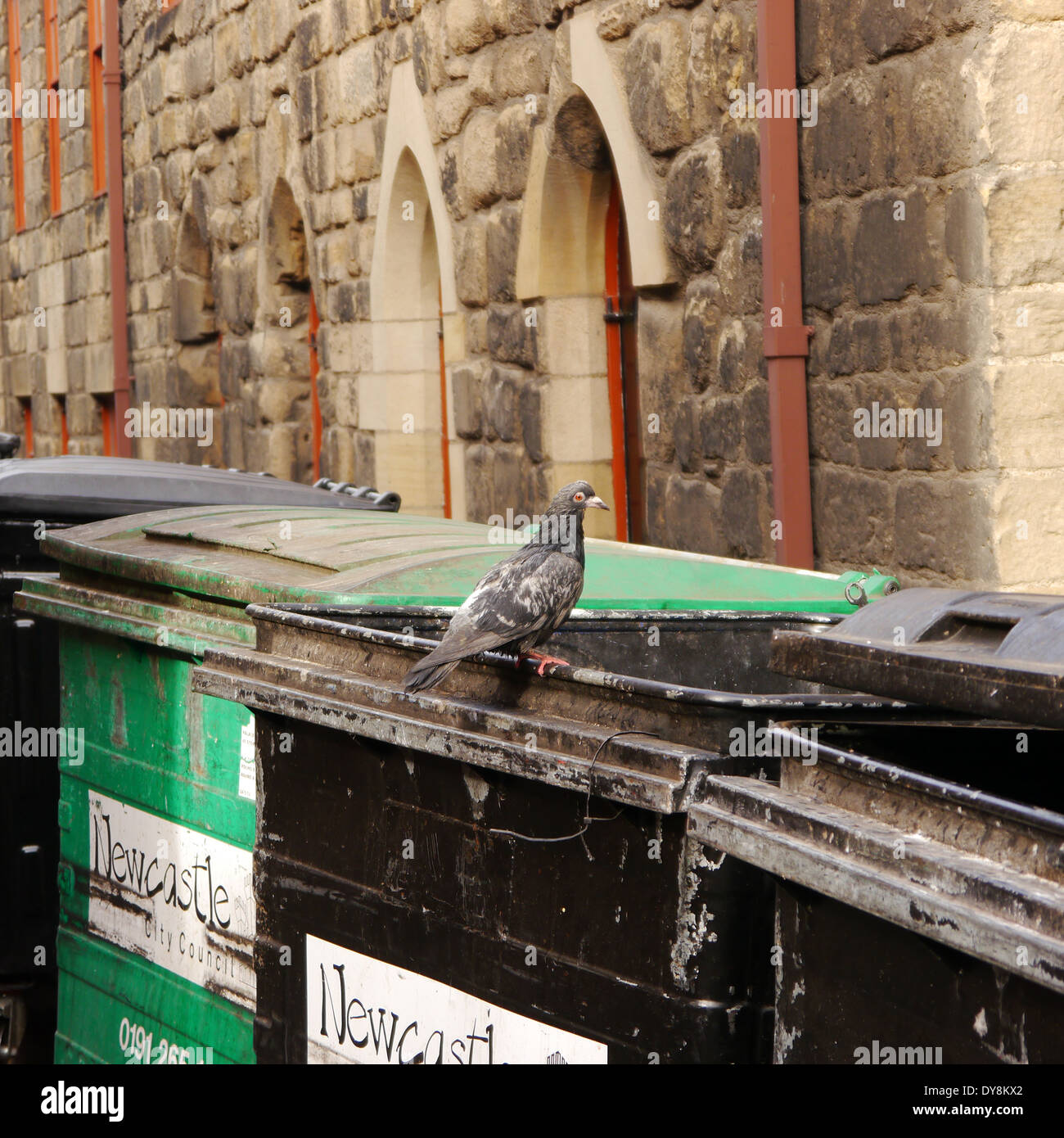 Newcastle city council bins hi-res stock photography and images - Alamy