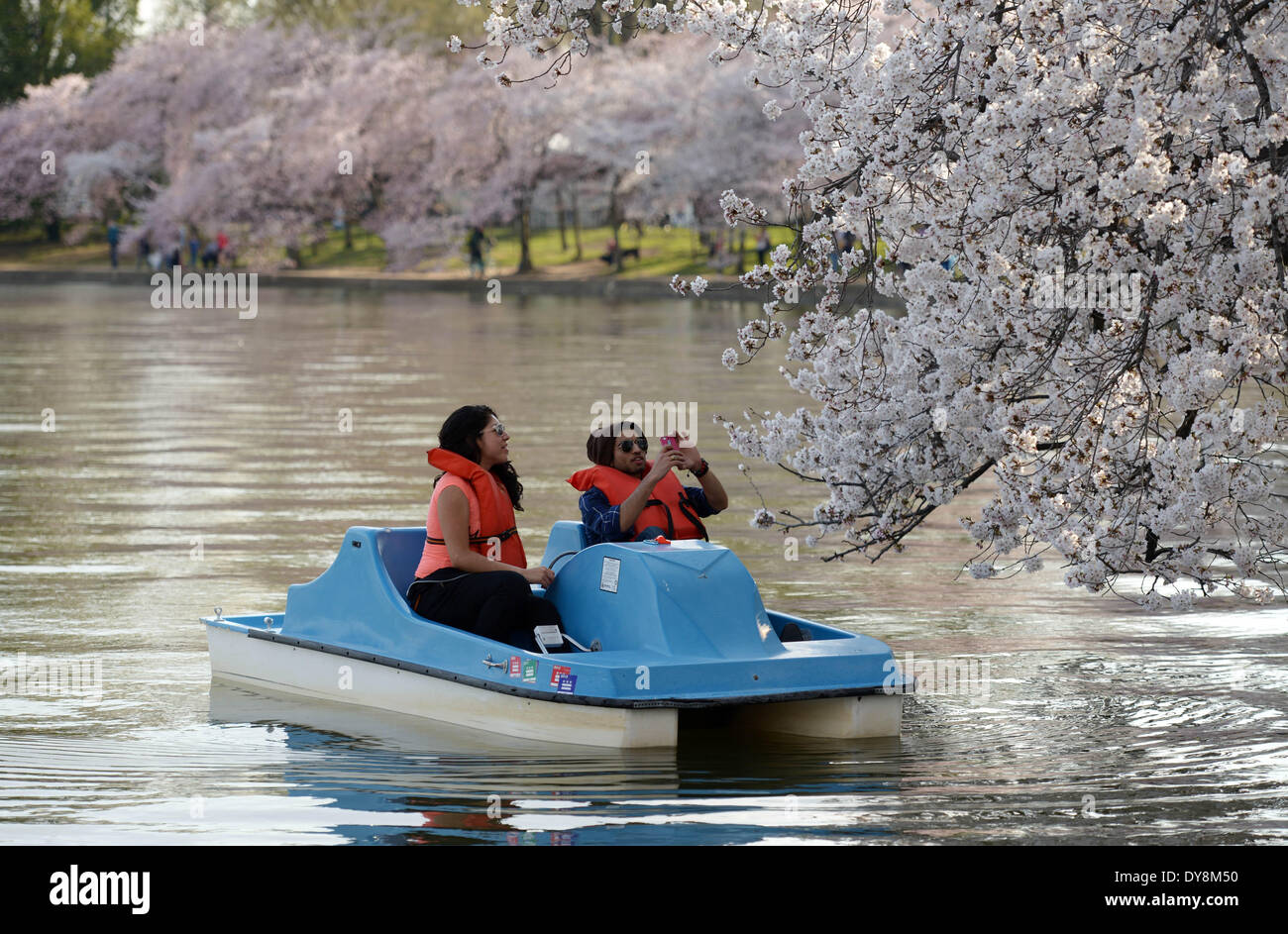 Tidal basin washington dc boat hires stock photography and images Alamy