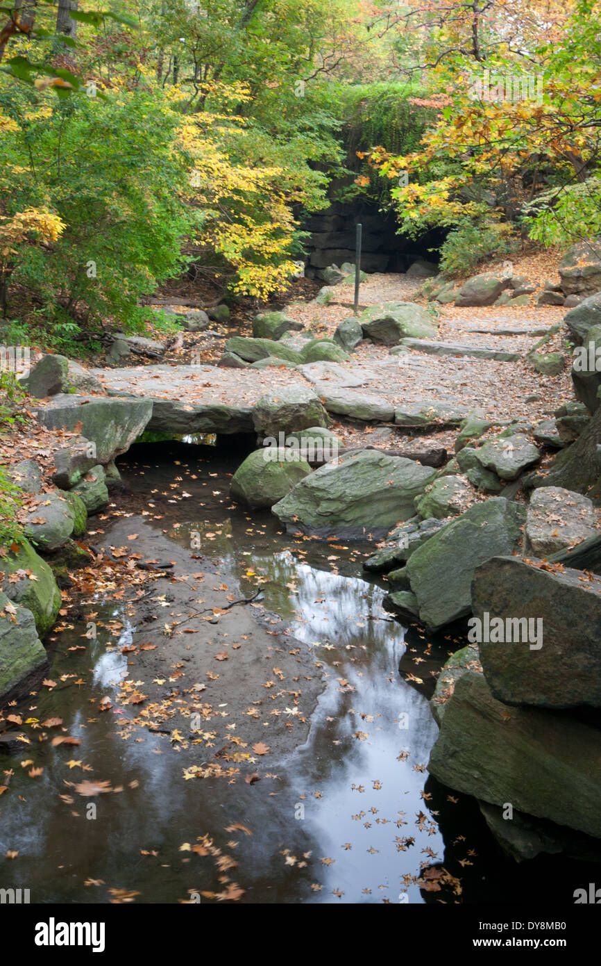 Autumn in the North Woods, Central Park, New York, USA Stock Photo