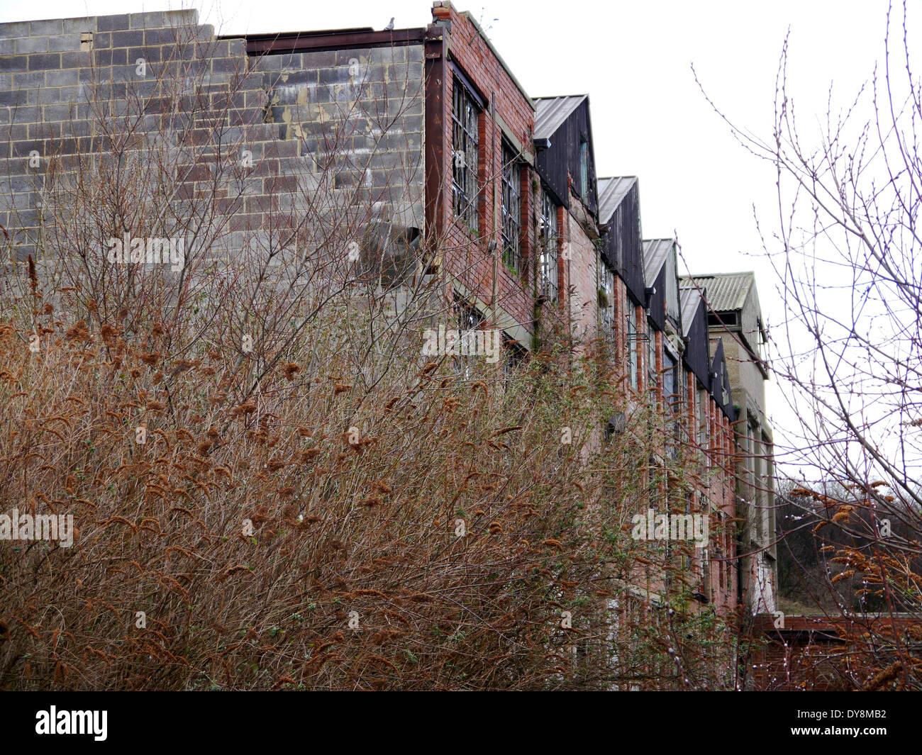 Derelict abandoned factory / warehouse property, North Shields, England