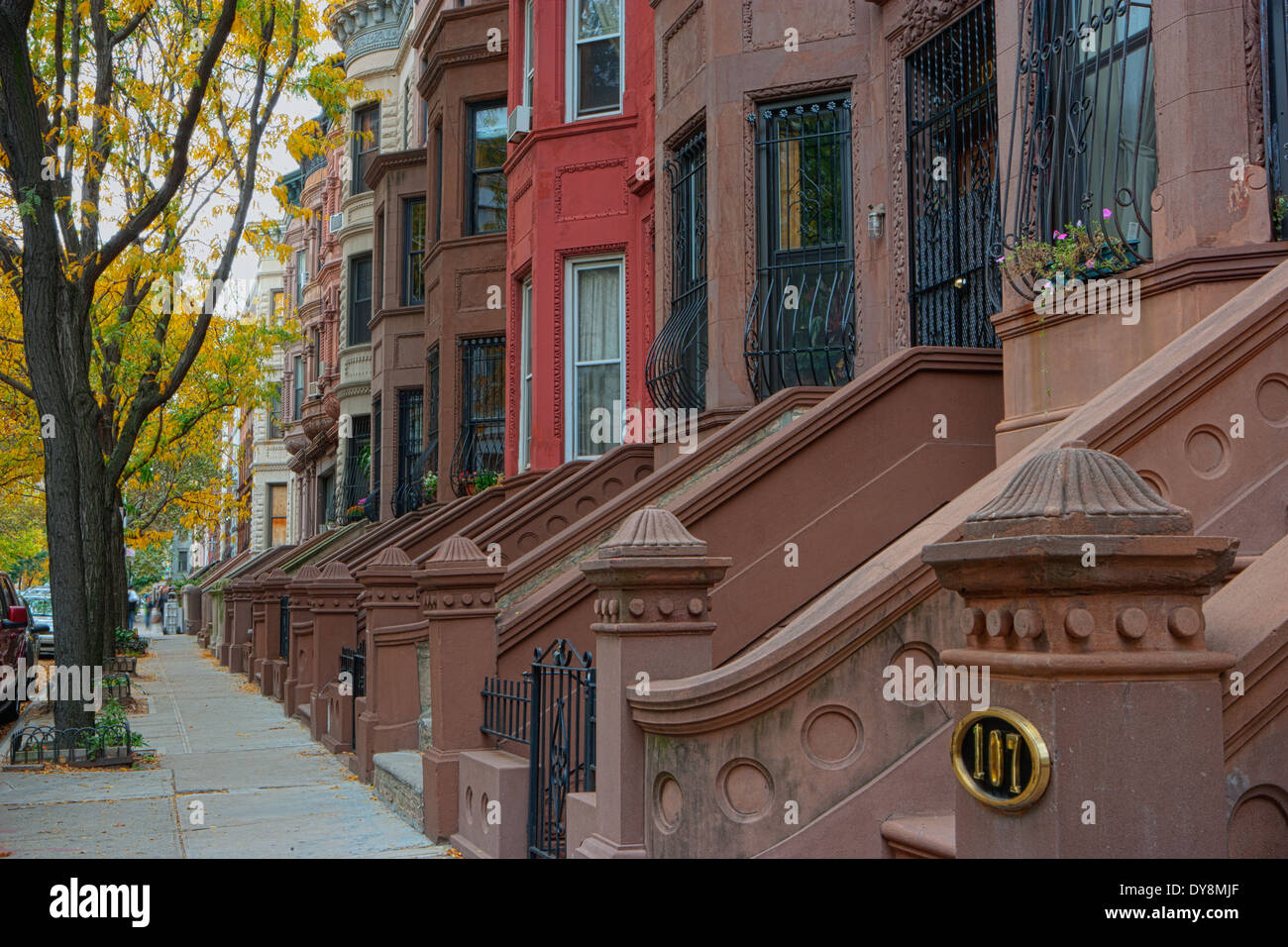 Harlem Row Houses in Autumn, New York City, New York, USA Stock Photo