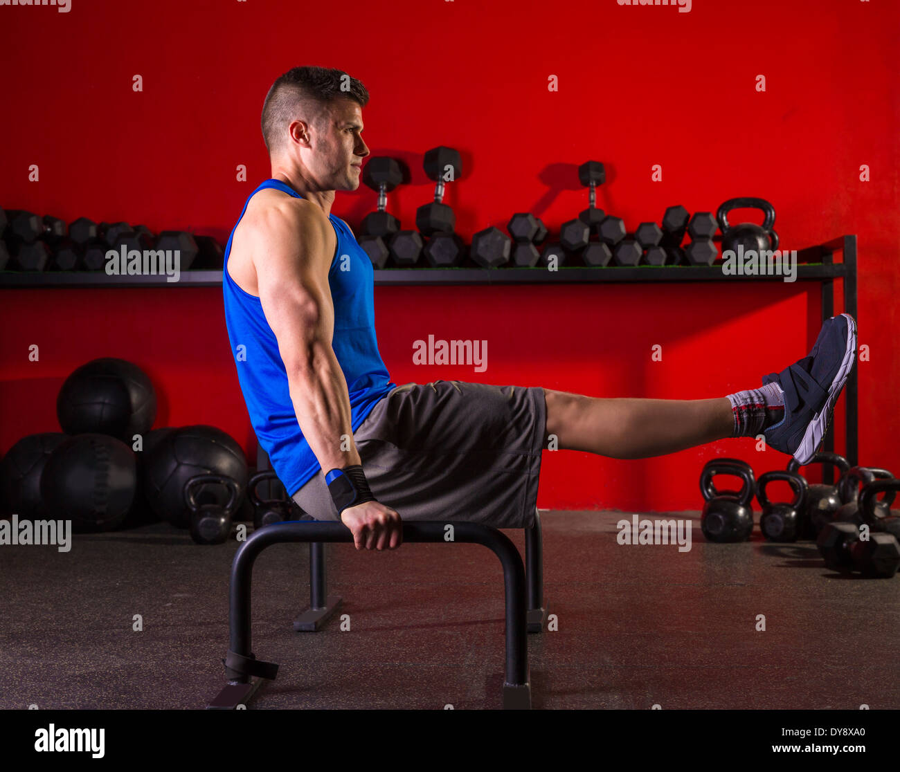 Workout parallettes online