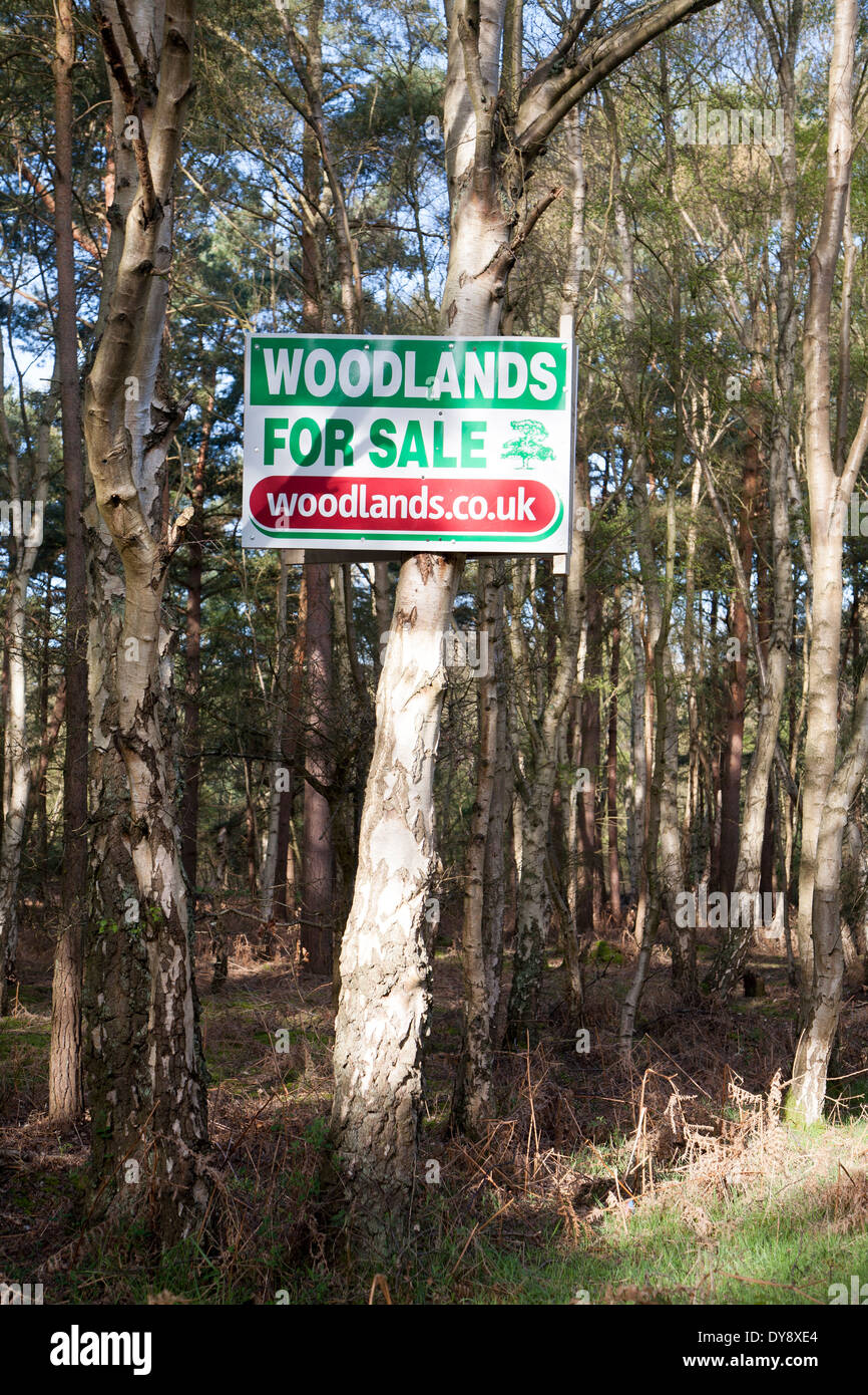 Woodland for sale hires stock photography and images Alamy