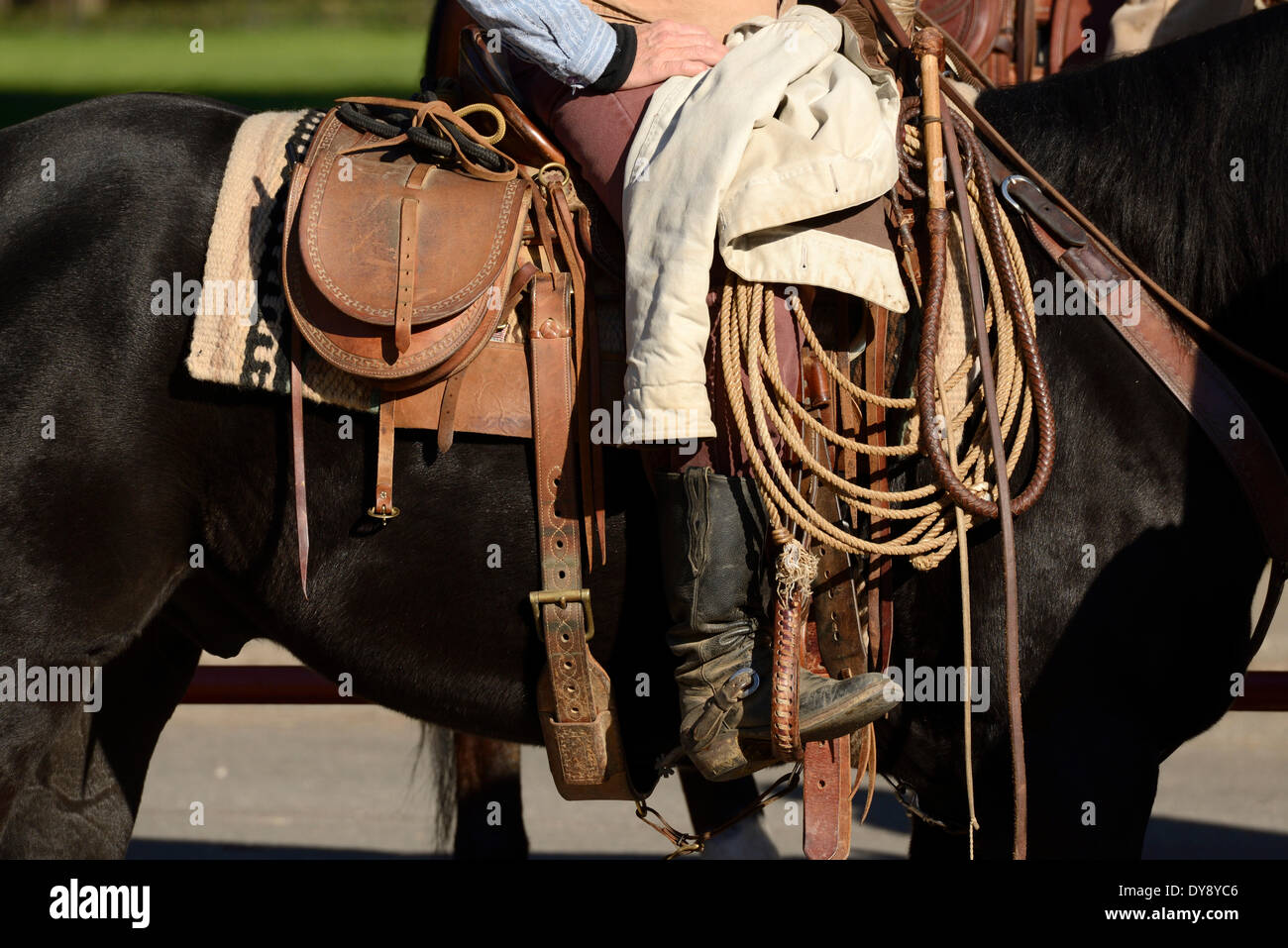 Texas san antonio cowboy hi-res stock photography and images - Alamy