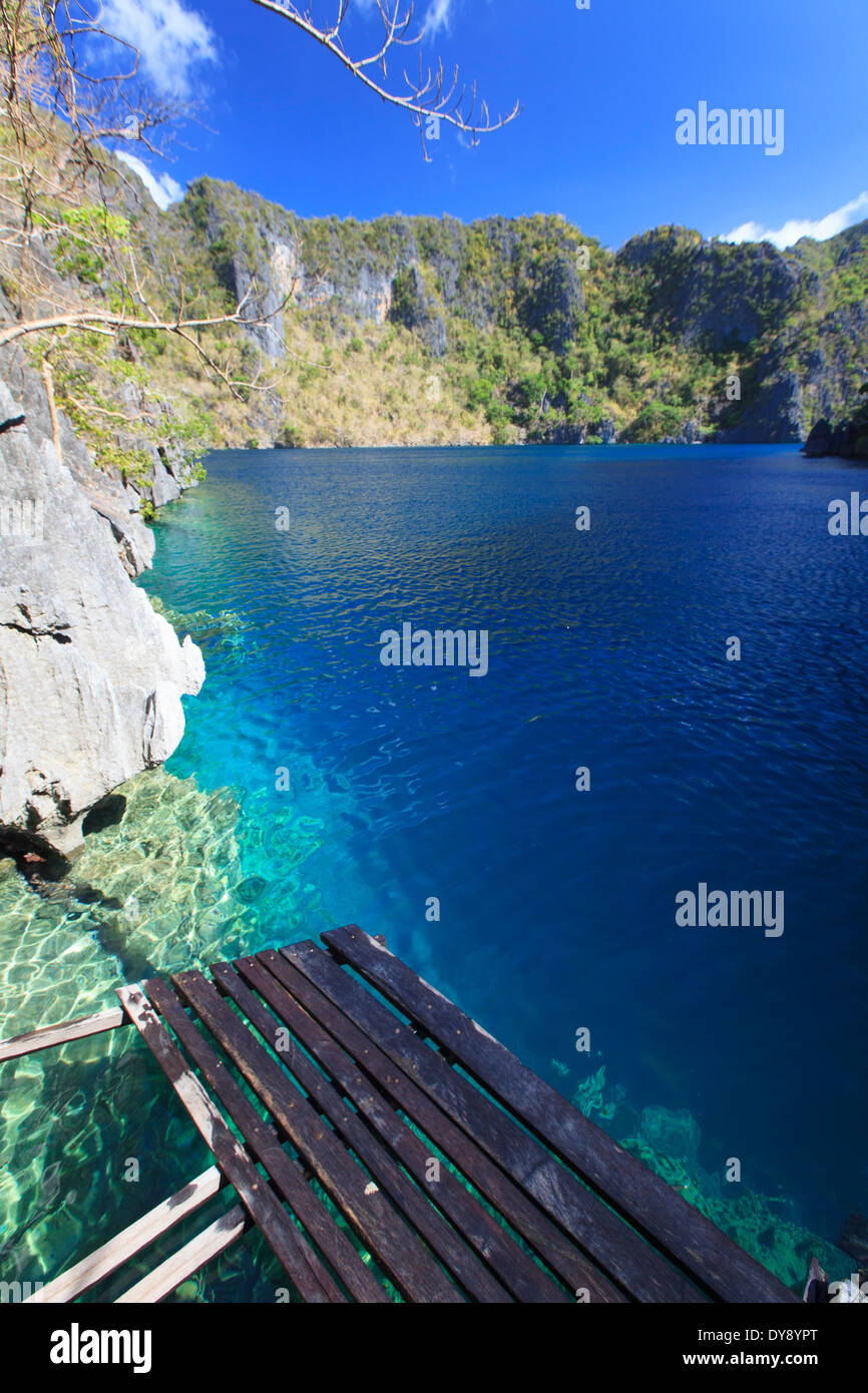 Philippines, Palawan, Coron Island, Barracuda Lake Stock Photo