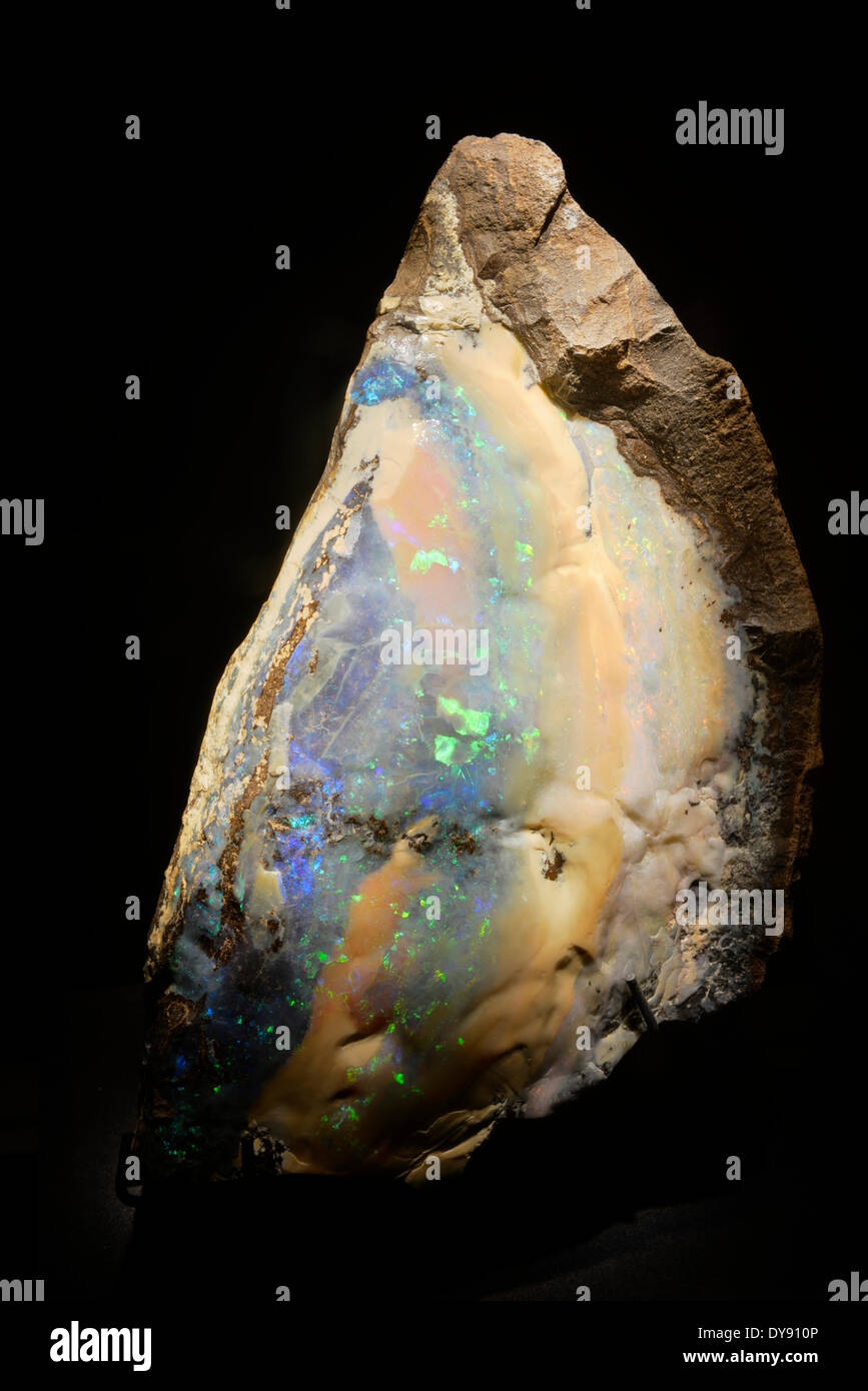 USA, United States, America, Texas, Houston, Museum of Natural Science