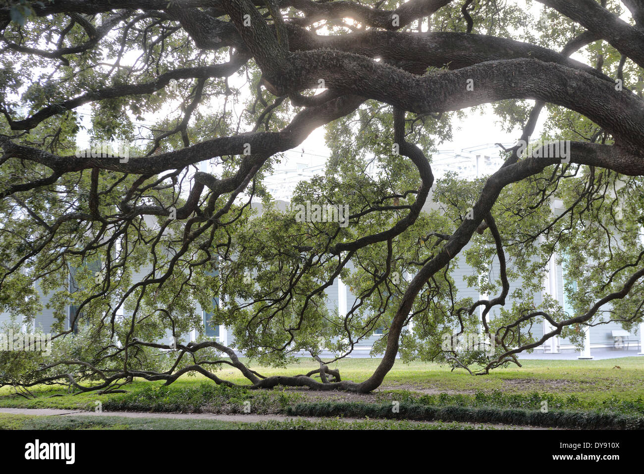 Houston texas park hires stock photography and images Alamy