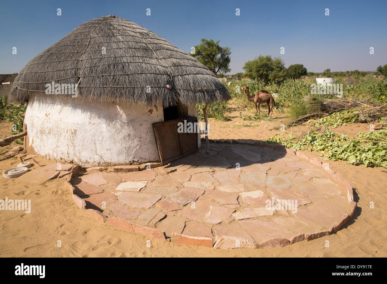 Rural, home, Setrawa, Asia, India, Rajasthan, round, house Stock Photo