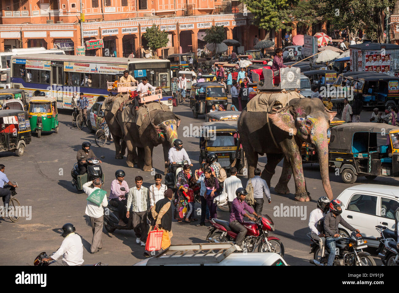 Traffic, Jaipur, Rajasthan, India, Asia, India, traffic, transport, elephant, cars, automobiles, motorcycles, motorbikes, Stock Photo