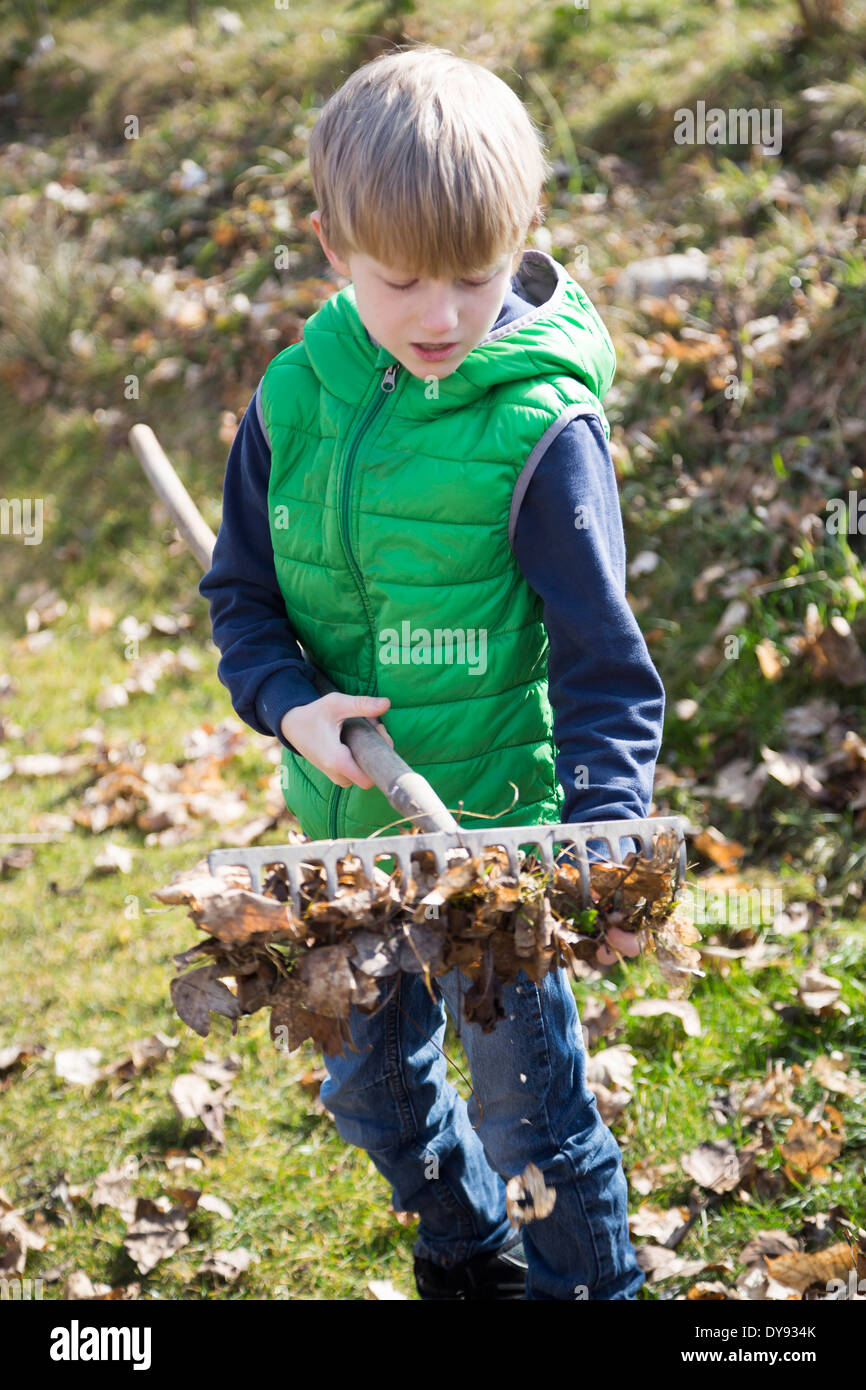 Boy with rake full of autumn foliage Stock Photo - Alamy