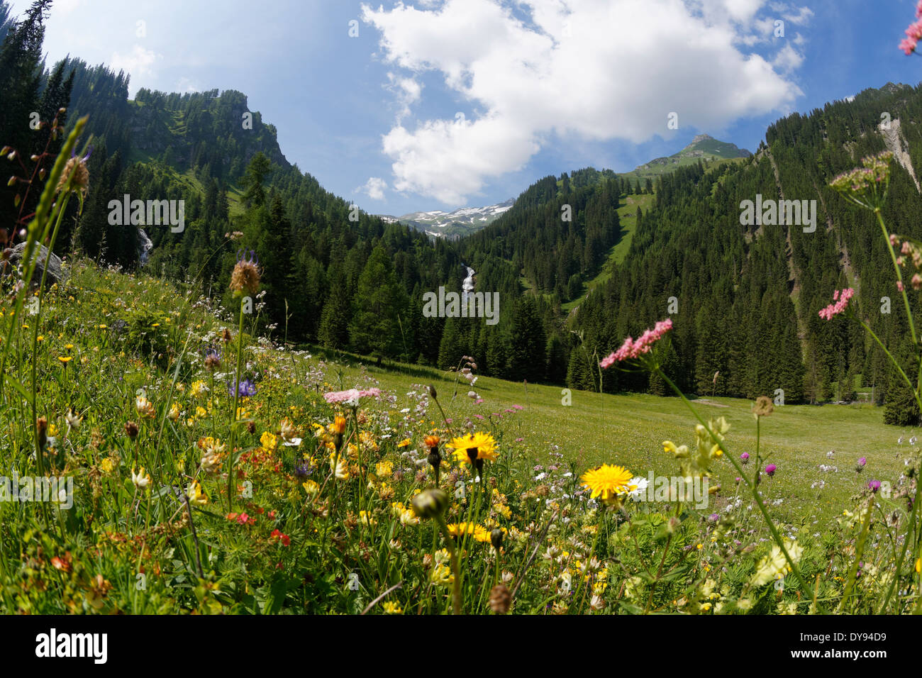 Austria, Vorarlberg, Raetikon, Stueberfall, Nenzing, alp 'Nenzinger Himmel', valley Gamperdonatal Stock Photo