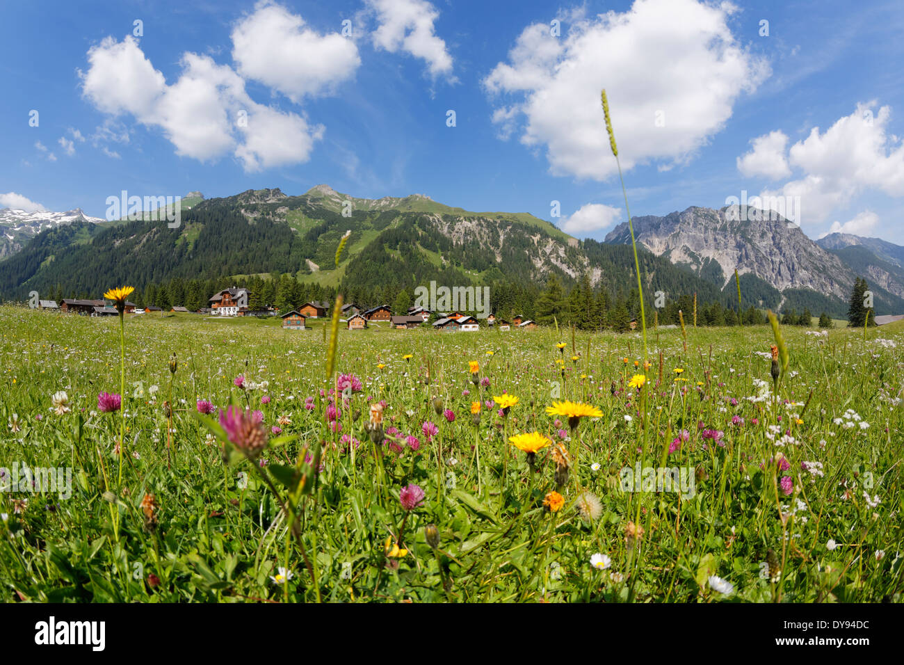Austria, Vorarlberg, Raetikon, Nenzing, alp 'Nenzinger Himmel', valley Gamperdonatal, village Stock Photo
