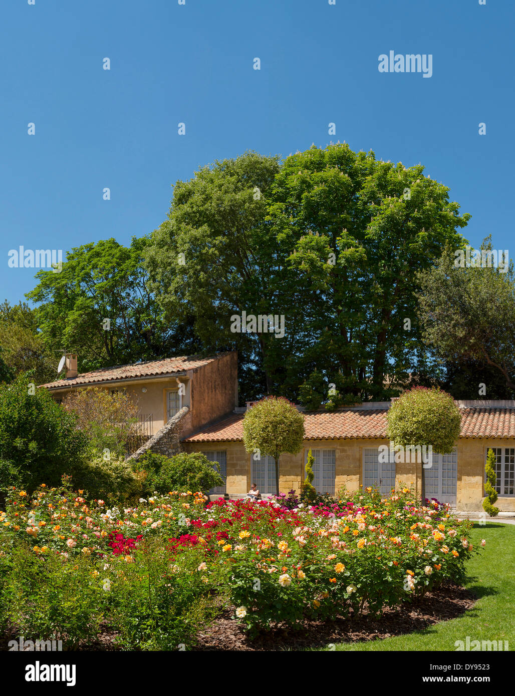 Rosegarden, Parc Vendome, house, flowers, spring, people, garden, park, Aix en Provence, Bouches du Rhone, France, Europe, Stock Photo