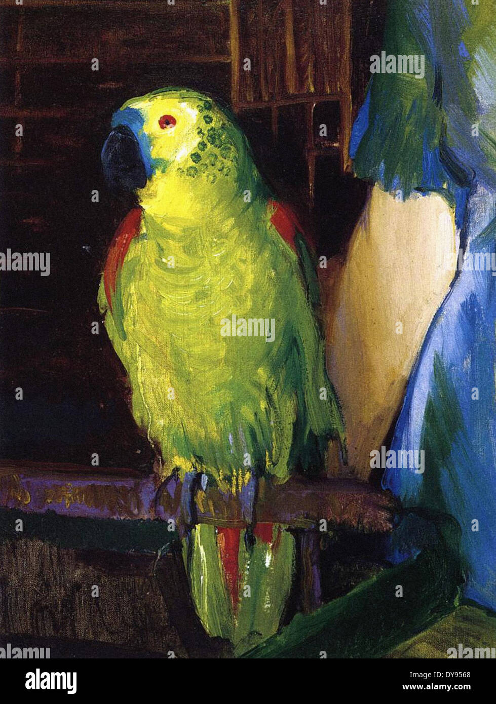 George Wesley Bellows Parrot Stock Photo