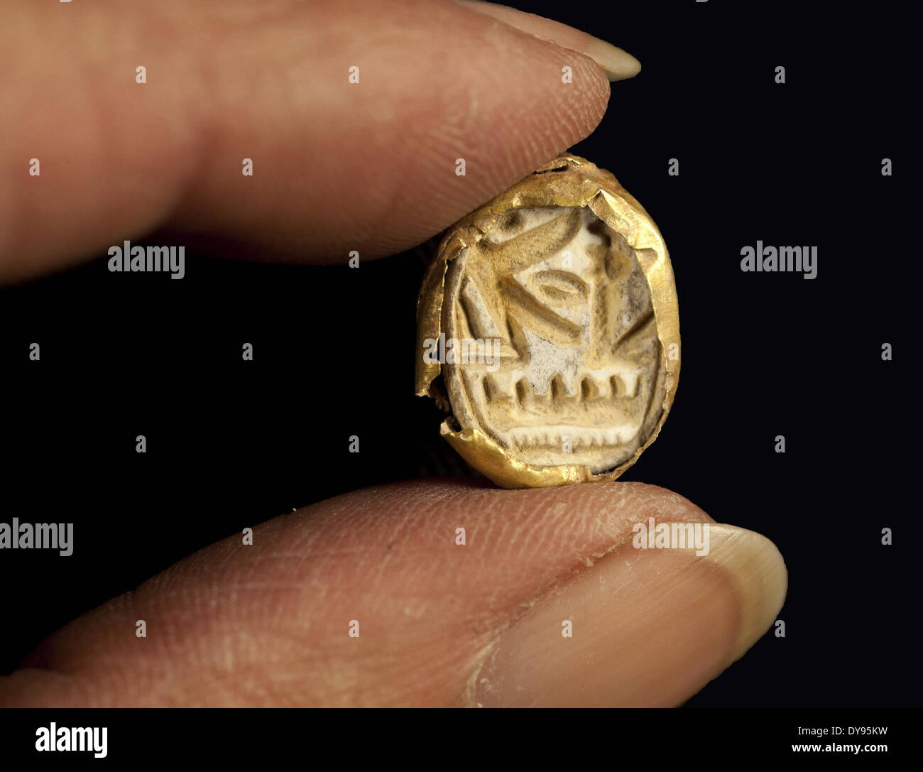 (140410) -- JERUSALEM, April 10, 2014 (Xinhua) -- File photo taken on April 3, 2014, and released by Israel's Antiquities Authority shows a scarab seal ring encased in gold, bearing the name of Pharaoh Seti I who ruled ancient Egypt in the 13th century BC, found at Tel Shadud, an archaeological mound in the Jezreel Valley, northern Israel. A 3,200-year-old coffin containing Egyptian valuables that archaeologists believe belonged to a high-ranking Canaanite official has been discovered in northern Israel, Israel's Antiquities Authority announced on April 9, 2014. The clay sarcophagus was found Stock Photo