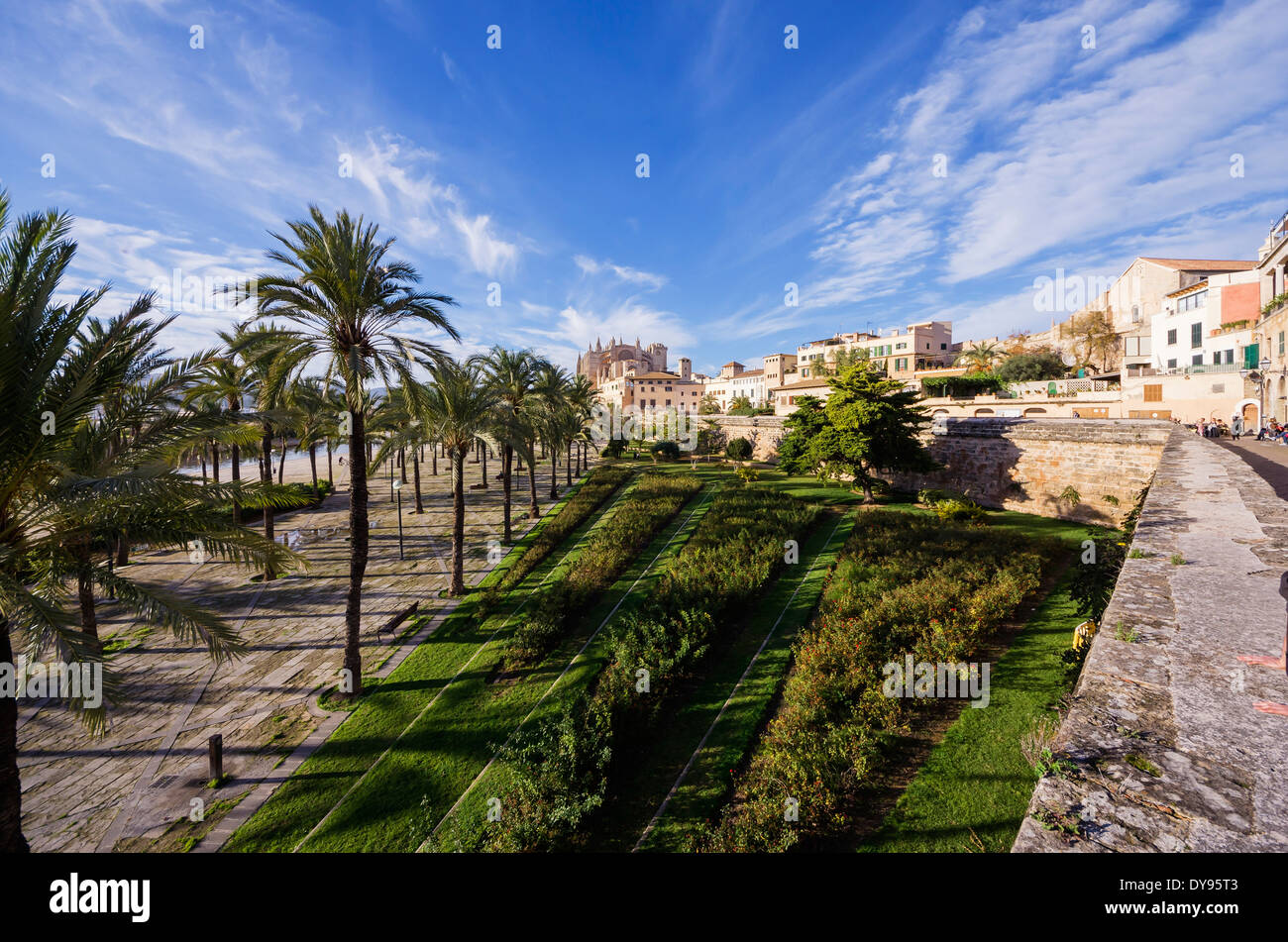 PALMA DE MAJORCA visual data 2