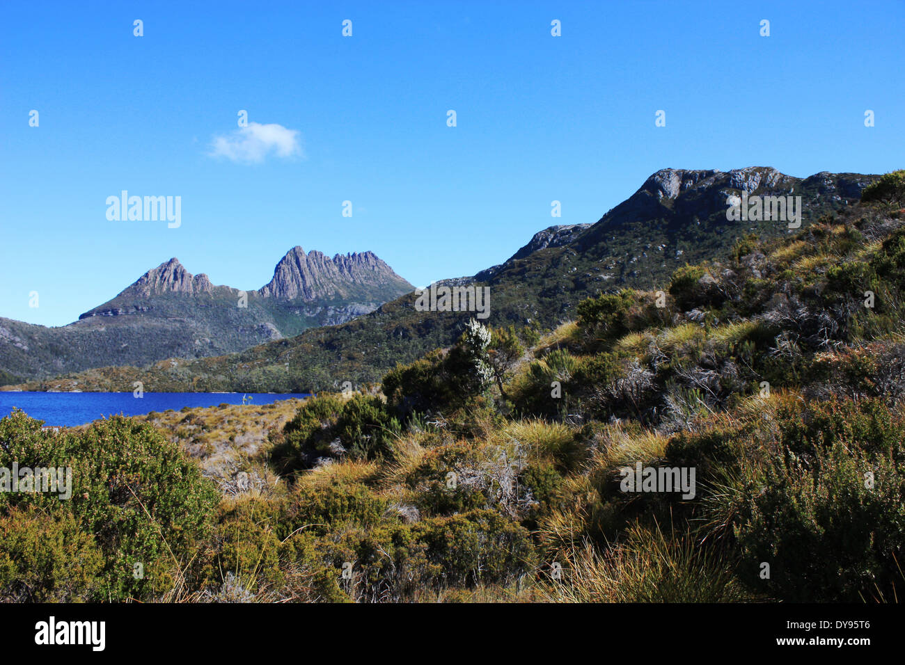 Cradle Mountain, Tasmania, Australia Stock Photo Alamy