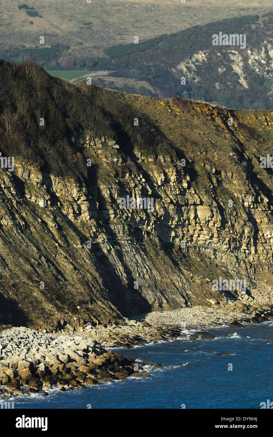 A view of Durlston cliff Dorset on the Jurassic coast UK Stock Photo
