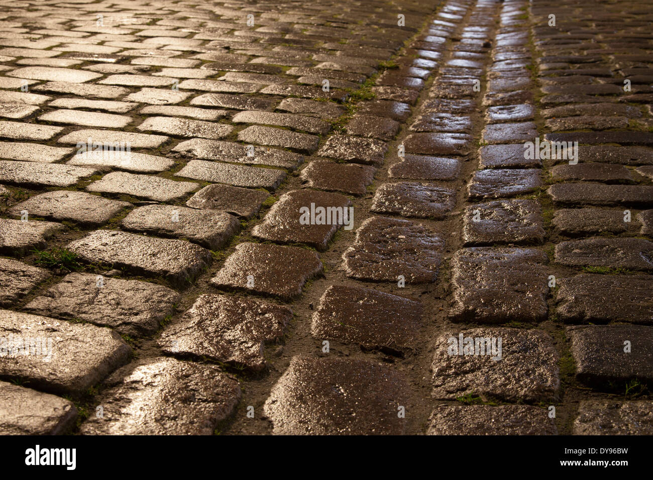 Germany, Munster, Wet cobblestone pavement Stock Photo