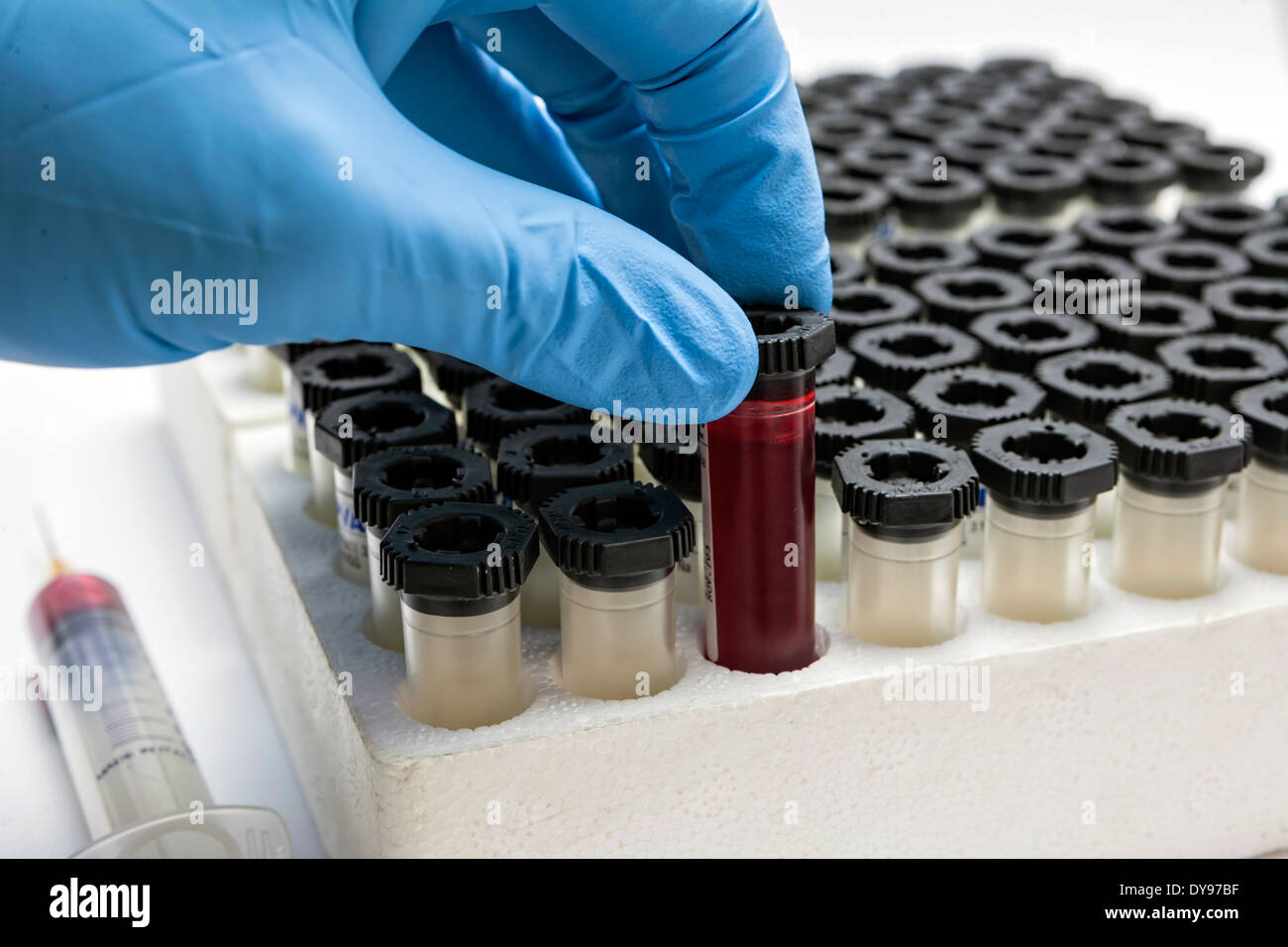 blood tubes in rack Stock Photo Alamy