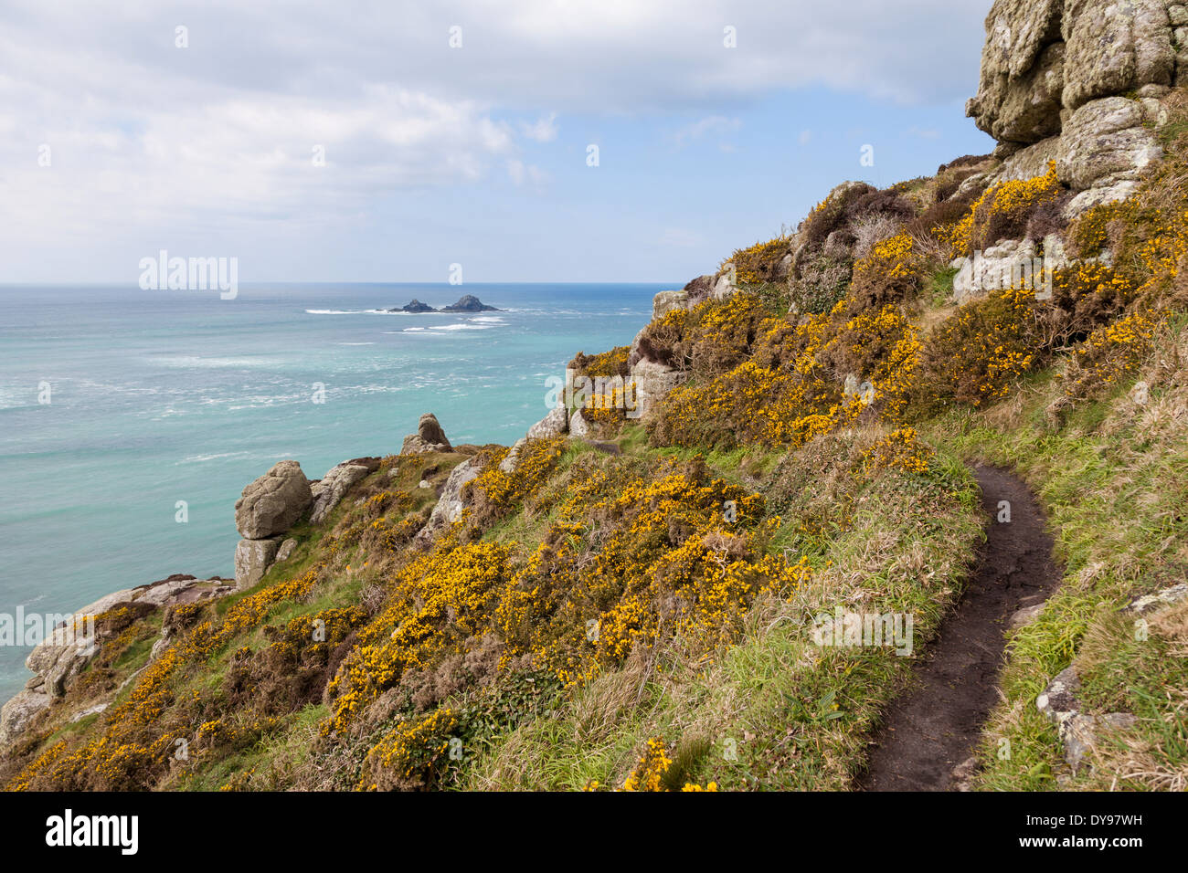 The South west Coast path near cape Cornwall St Just Cornwall West Country England UK with The Brisons rocks in the distance Stock Photo