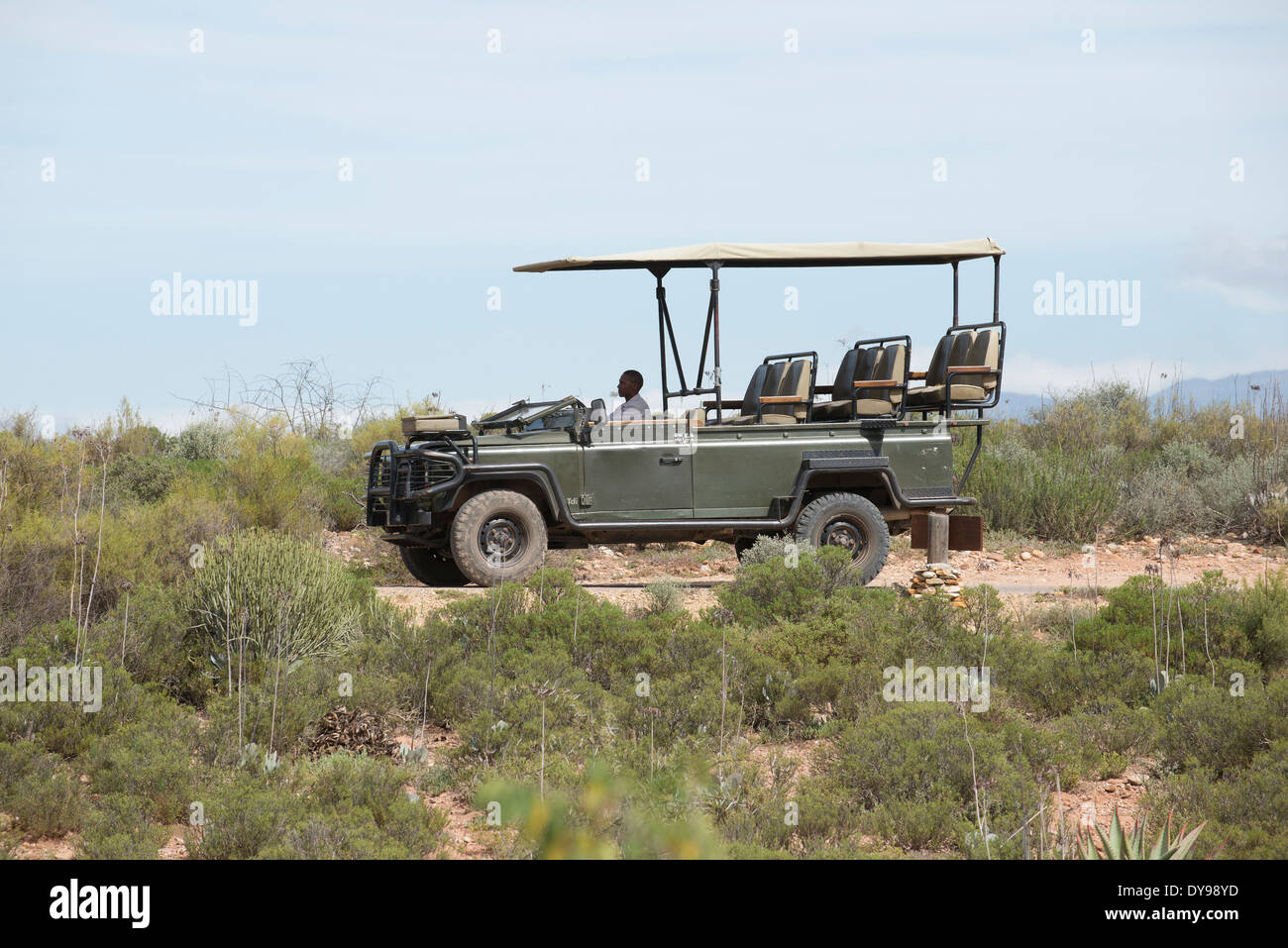 view Game viewing vehicle in the wild Stock Photo