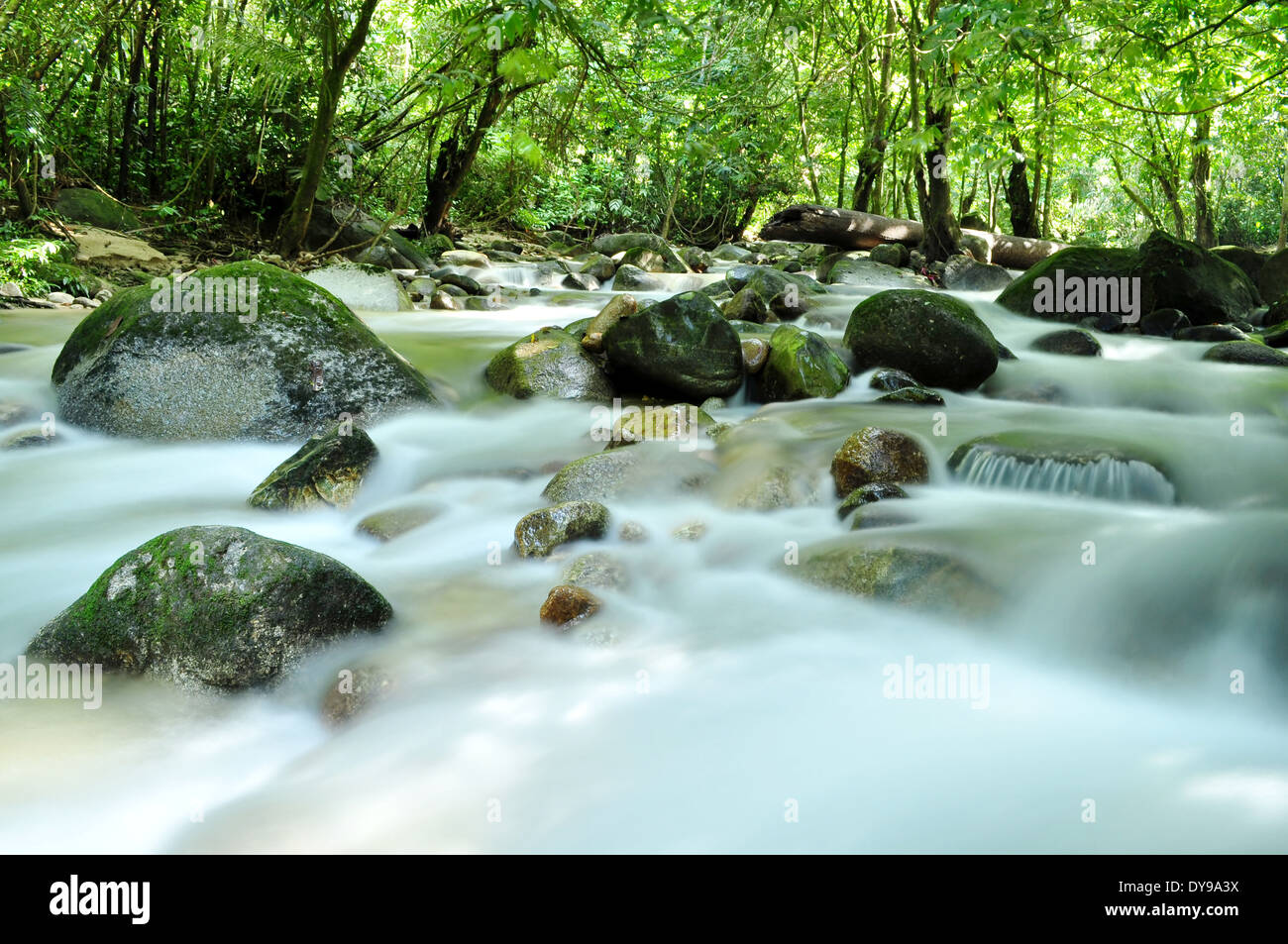 River at Sungai Tua, Ulu Yam, Malaysia Stock Photo