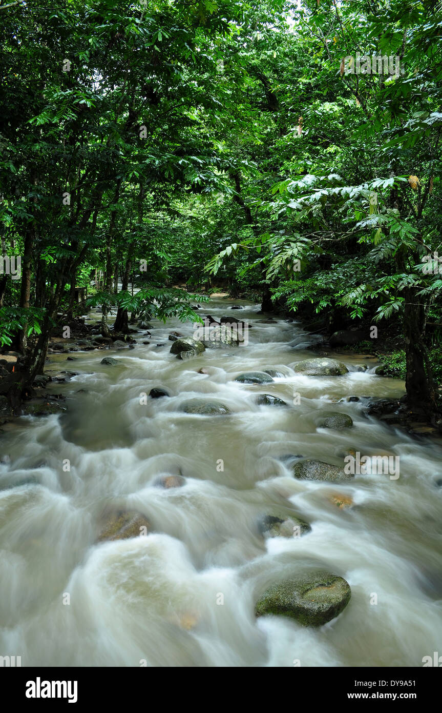 River at Sungai Tua, Ulu Yam, Malaysia Stock Photo