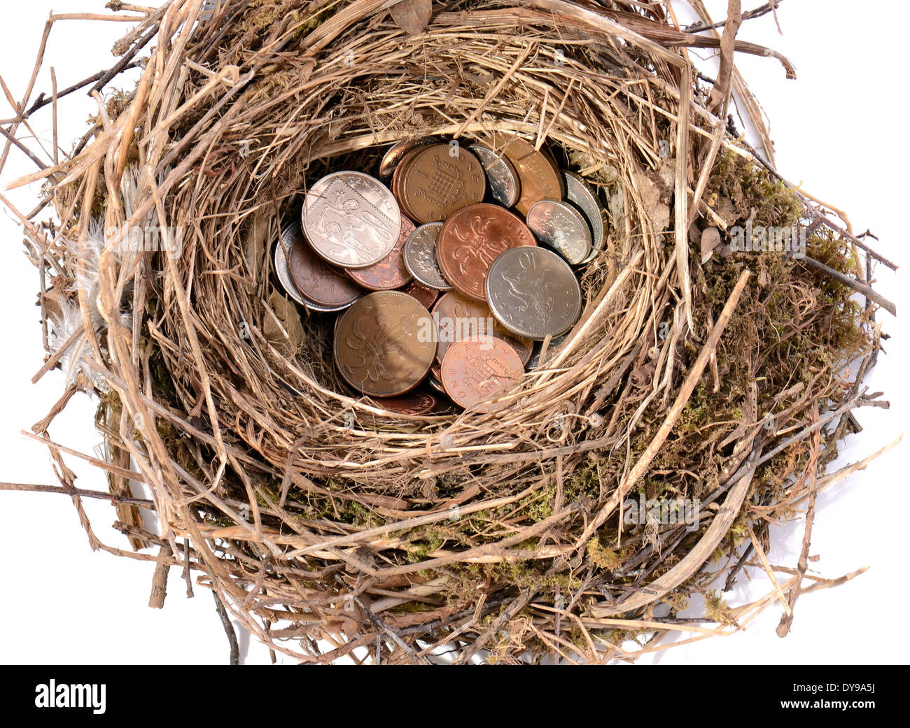 saving pennies for the future in a nest egg isolated on white Stock Photo