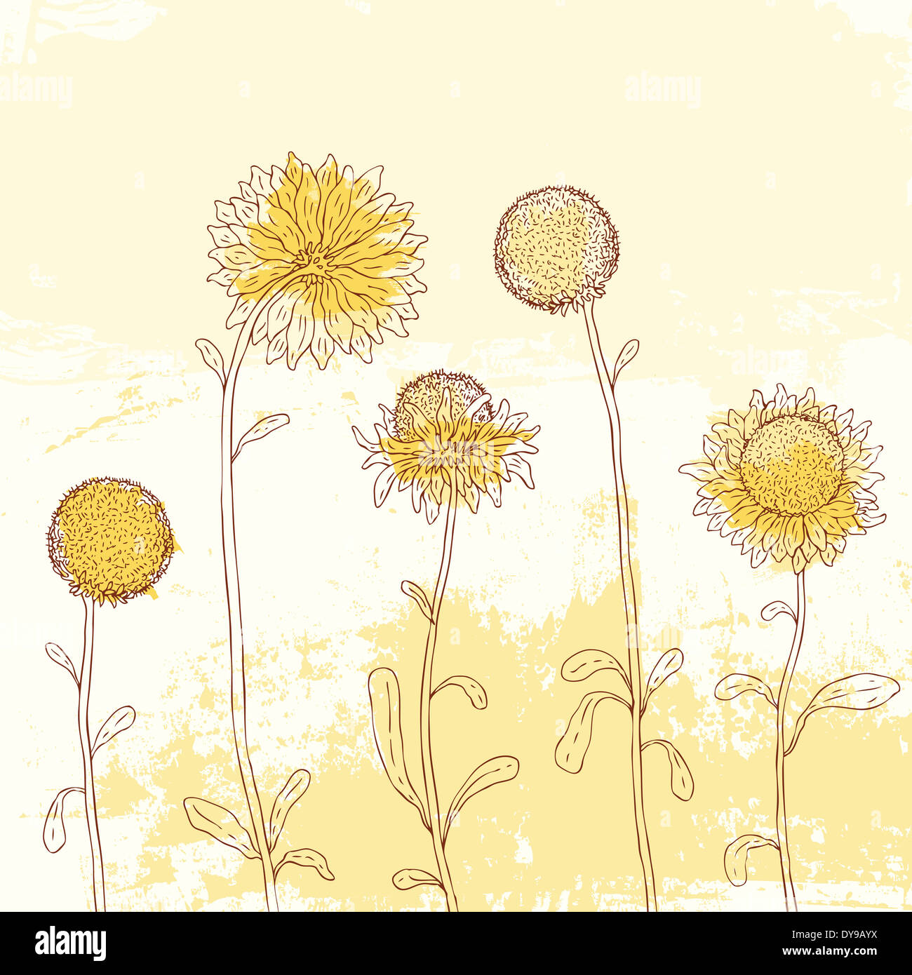 Yellow sunflower on Watercolor background Stock Photo - Alamy