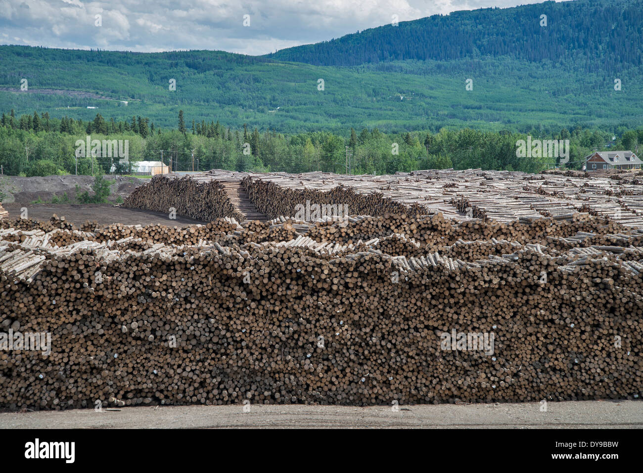 logging mill, chetwynd, bc, Canada, logs, wood, industry Stock Photo